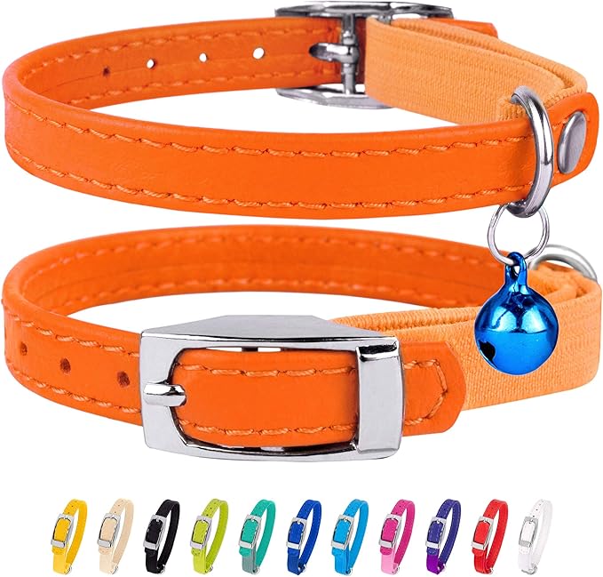 CollarDirect Leather Cat Collar, Cat Safety Collar with