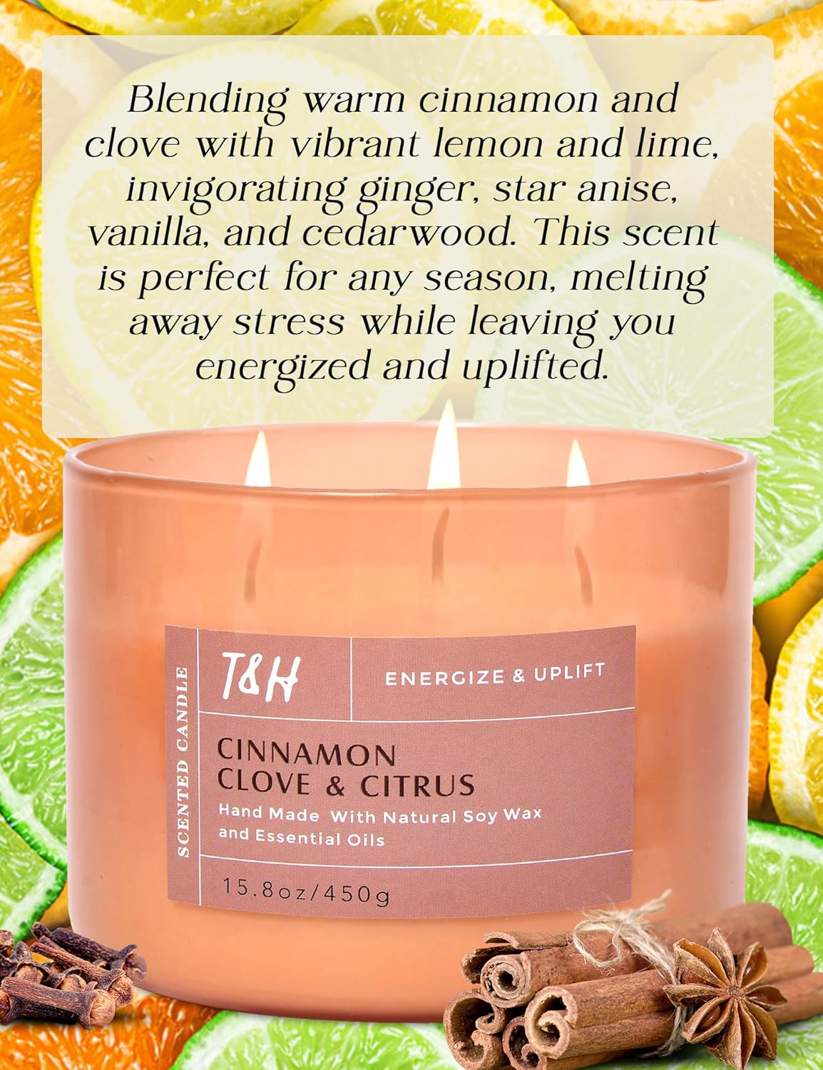 Eucalyptus Evergreen Forest and Cinnamon Clove Citrus 3 Wick Scented Candles Bundle | Aromatherapy Soy Candles for Women & Men, Large Scented Candles for Home Long Burning Candle Set of 2 x 15.8 Oz