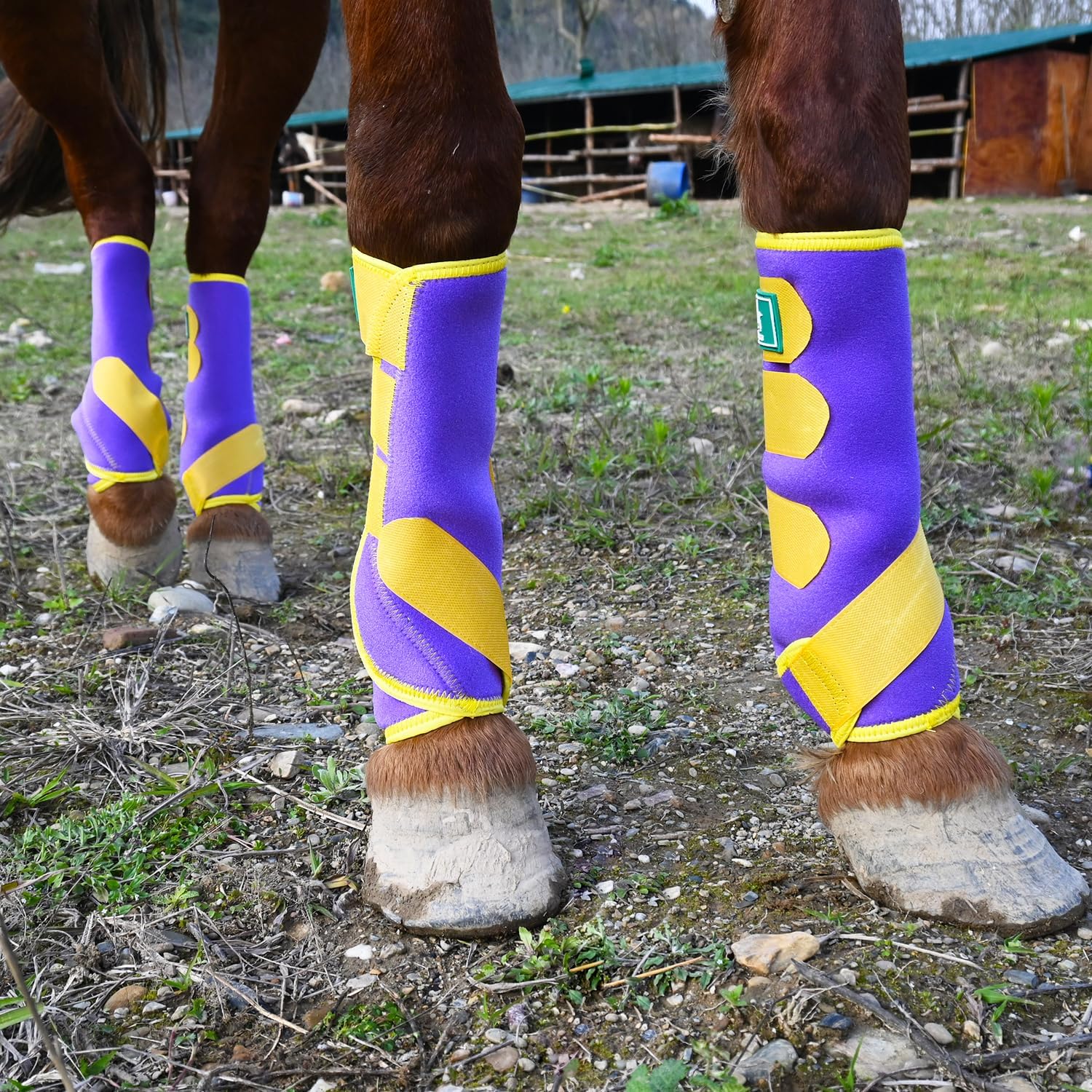 Equine Sport Horse Boots Set of 4 – Neoprene Leg Protection with Durable Hook & Loop Straps, Breathable & Comfortable Fit for Training, Riding, and Performance（Purple, Medium）
