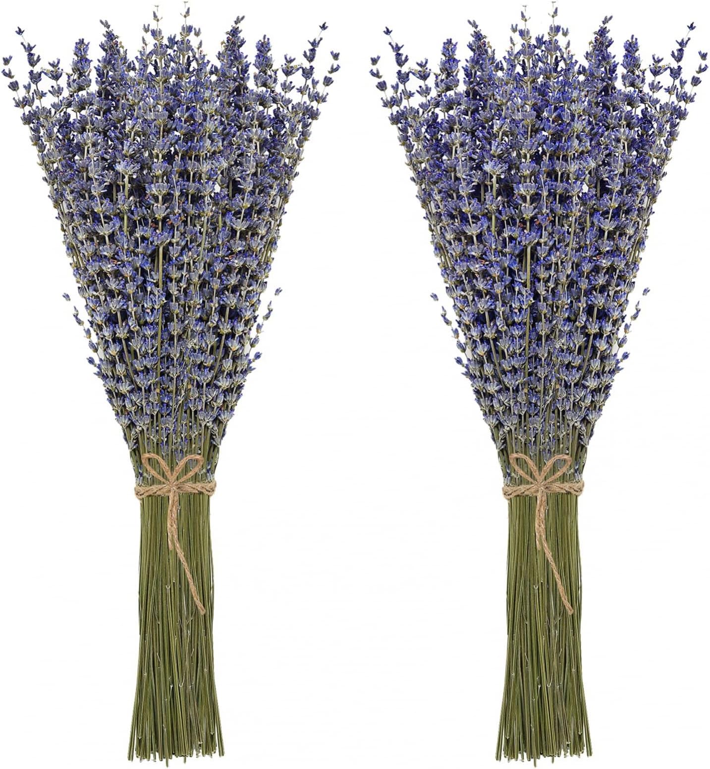 Timoo JTIEO Ingrow Natural Dried Lavender Flowers for Home Decoration (Pack of 2)