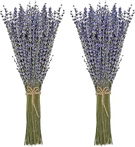 Timoo Dried Lavender Bundles - 2 Pack, Natural Lavender Flowers for Decoration, Fragrance, DIY Projects