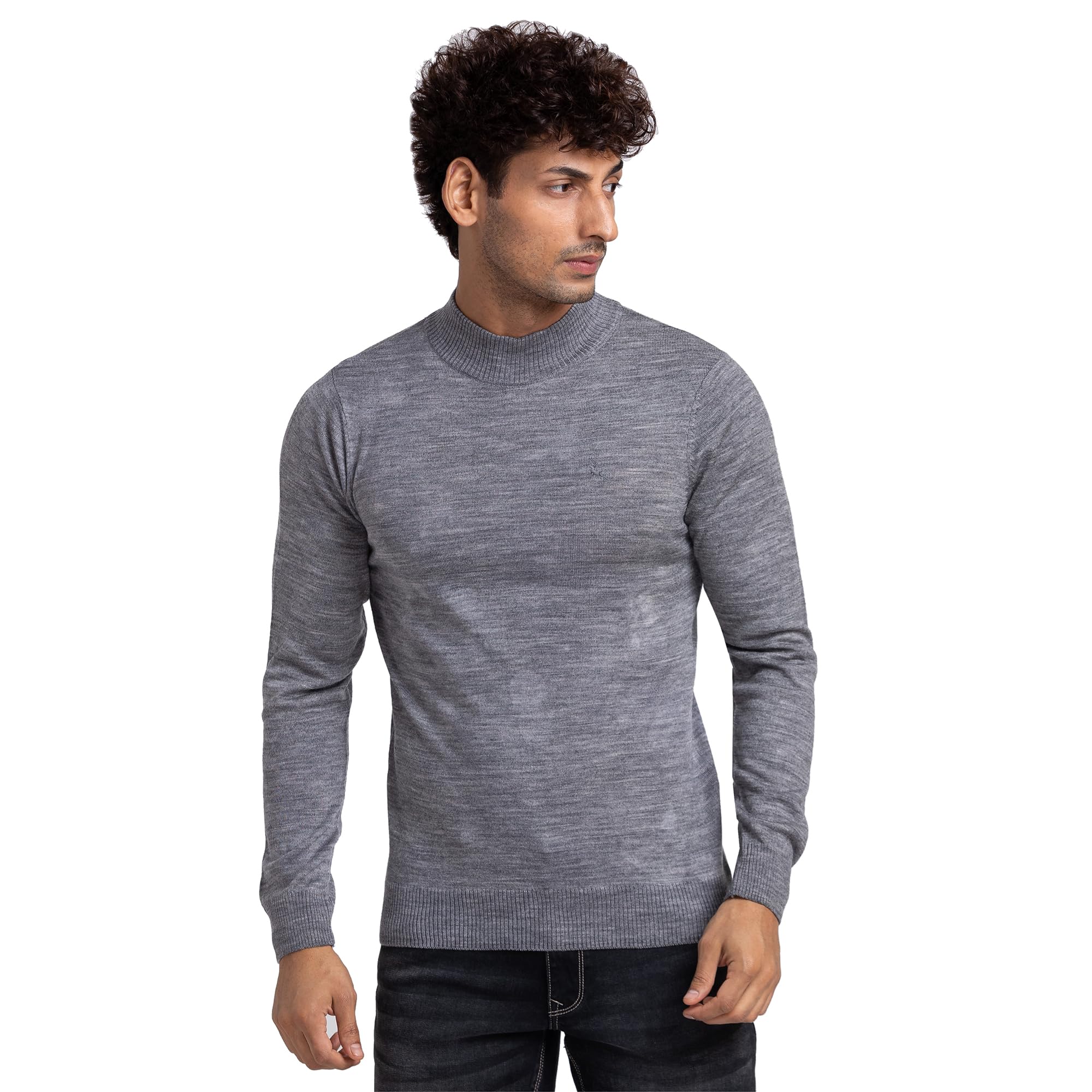 parx Men Regular Fit Solid Pattern Acrlic Wool Blend Full Sleeve Turtle Neck Casual Sweater-picture-36