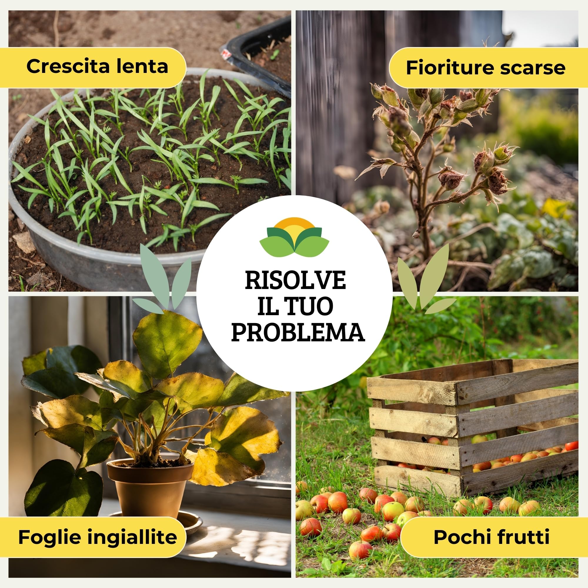 Albagarden - Concime Piante Universale Granulare - MAXI 5 KG - Fertilizzante Con L'aggiunta Di Calcio E Magnesio Per Giardino, Orto e tutti tipi di Piante