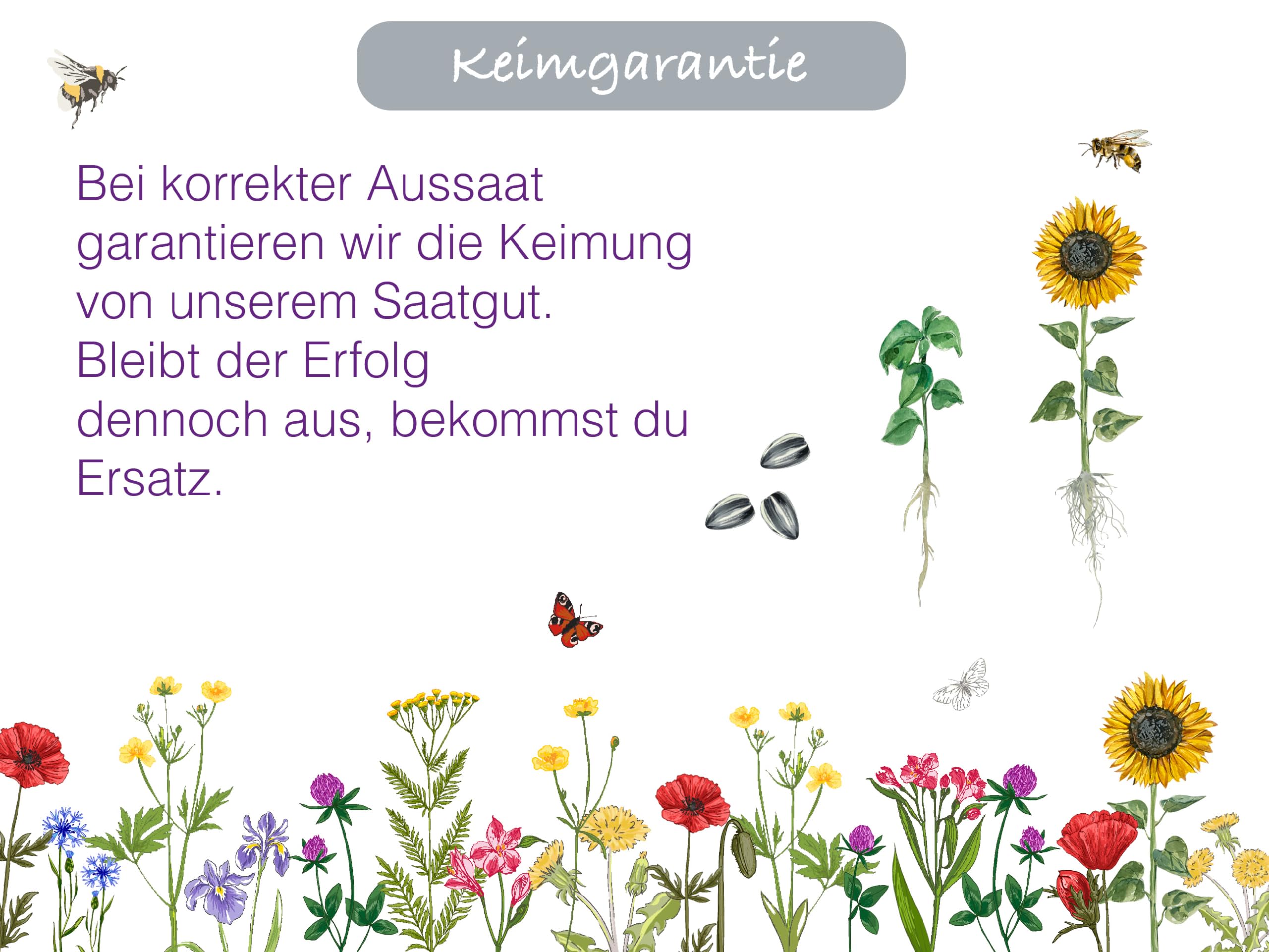 100.000 deutsche Löwenzahn Samen lat. Taraxacum Saatgut mehrjährig & winterhart, Futterpflanze Kaninchen, Hase, Meerschweinchen; Löwenzahnblüten Bienenmagnet Pollen Pusteblume