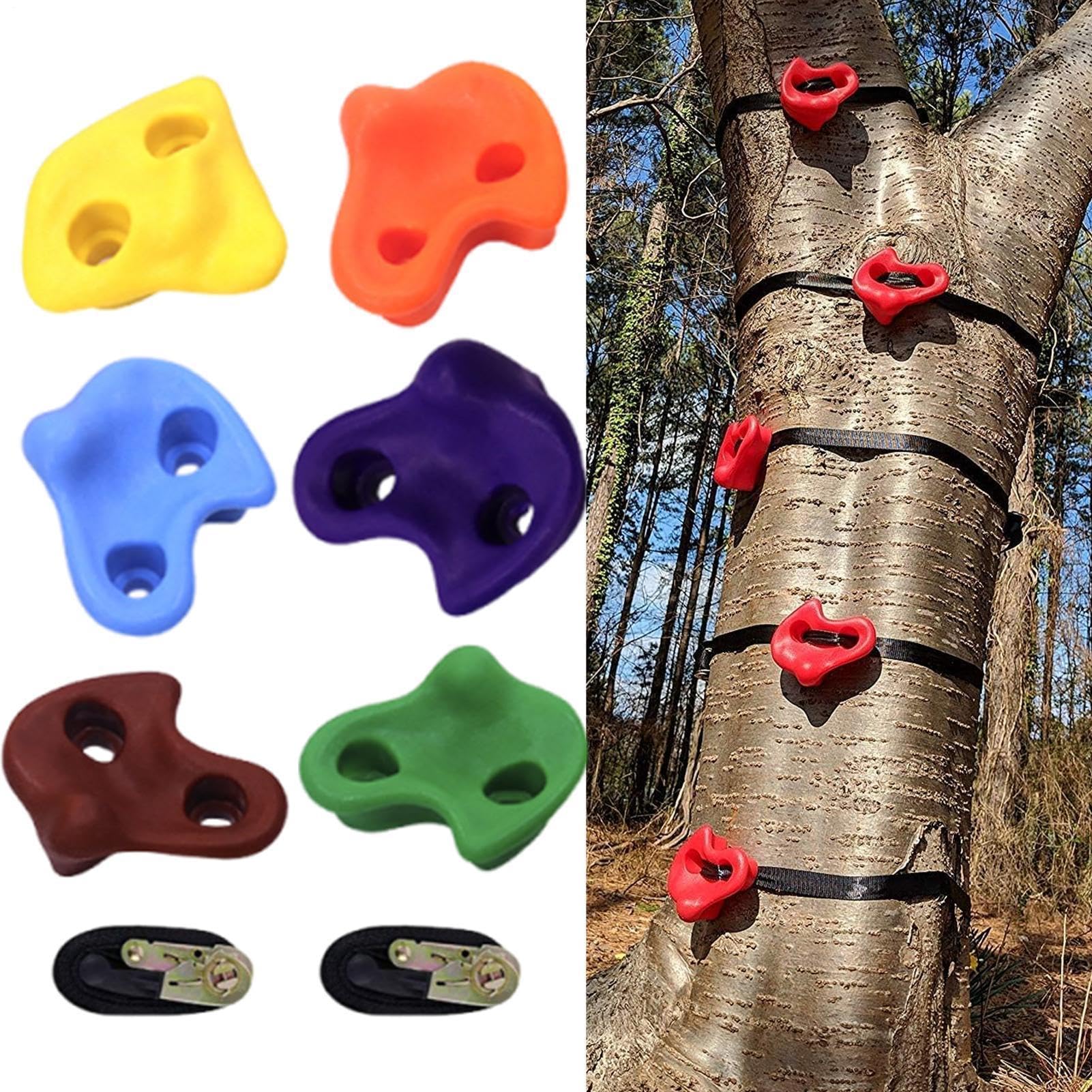 Presas de escalada para niños Escalera de Práctica Infantil y Juvenil