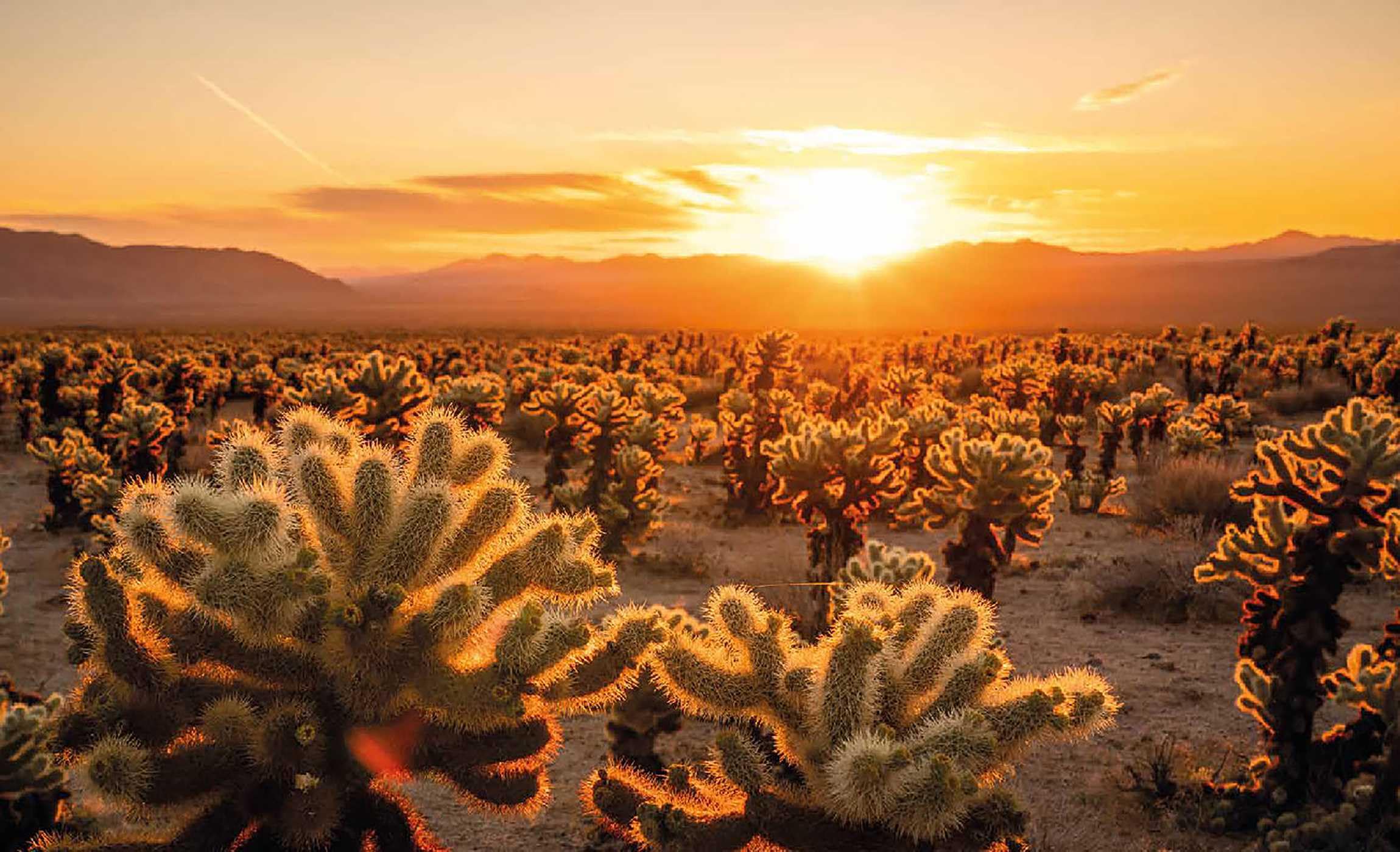 Sunrise Destinations /anglais: the world's most beautiful places to watch the sun come up