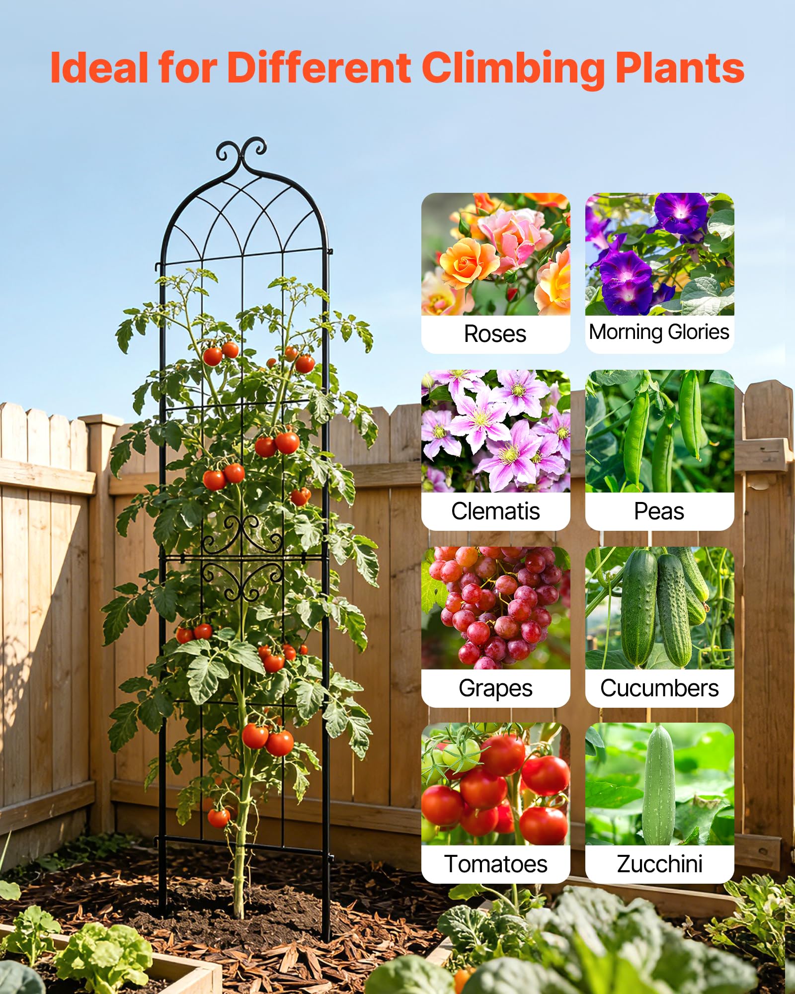 VEVOR Rankgitter, 220x52,5cm 4er-Pack, Metall Rankhilfe mit Pulverbeschichteter Oberfläche & Verriegelungsmechanismus, Kletterhilfe, Garten Spalier, Pflanzengitter für Blumen, Gemüse & Rosen