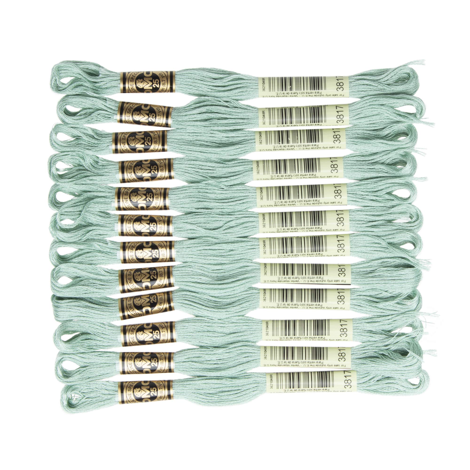 DMC 6-Strand Embroidery Cotton Floss, Light Celadon Green