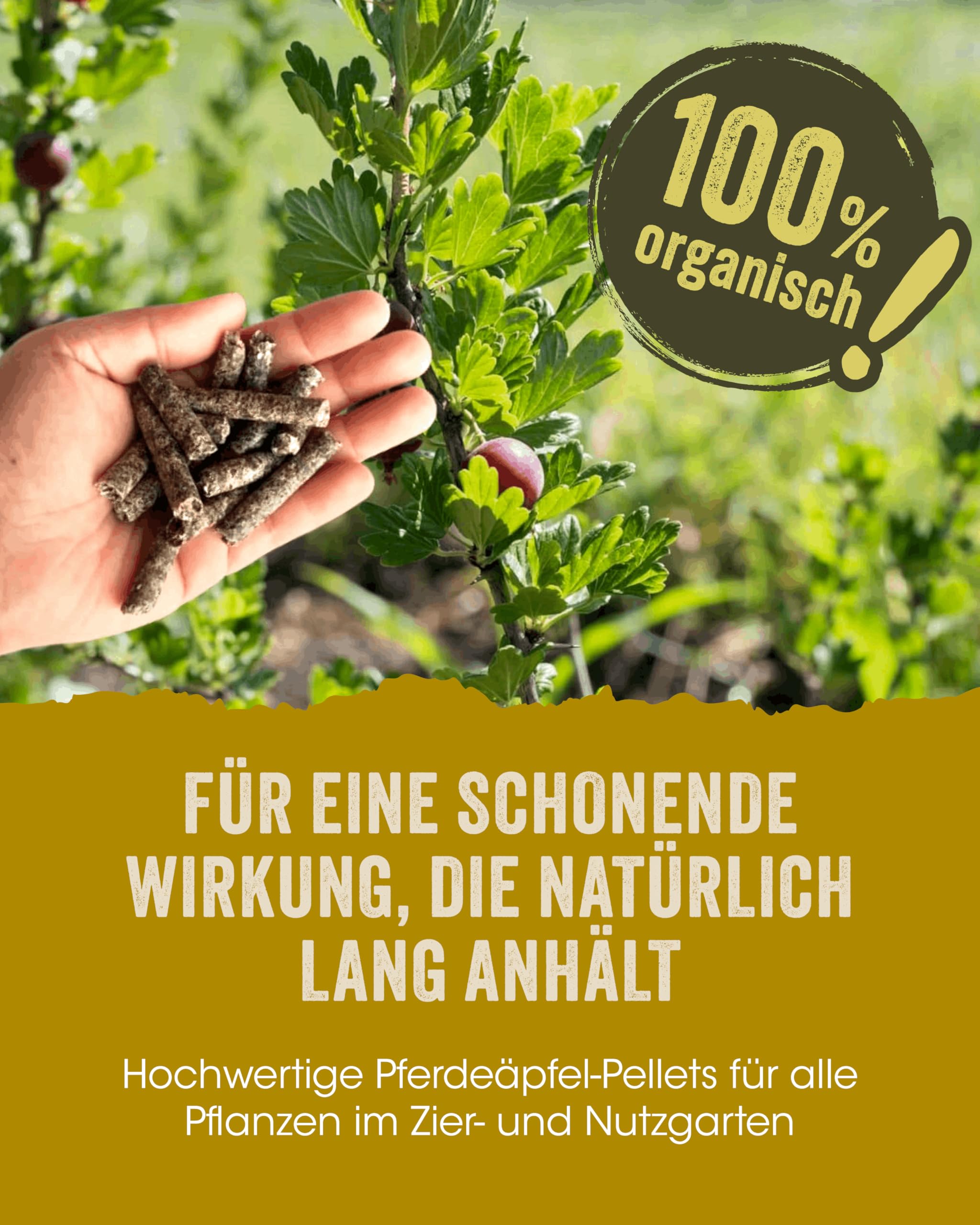 Allflor Pferdedung gekörnt 4 x 5 Kg in Faltschachtel I Pferdemist als Dünger I rein biologisch-organischer Universaldünger I Pferdedünger I Für alle Garten-, Obst- & Gemüsepflanzen