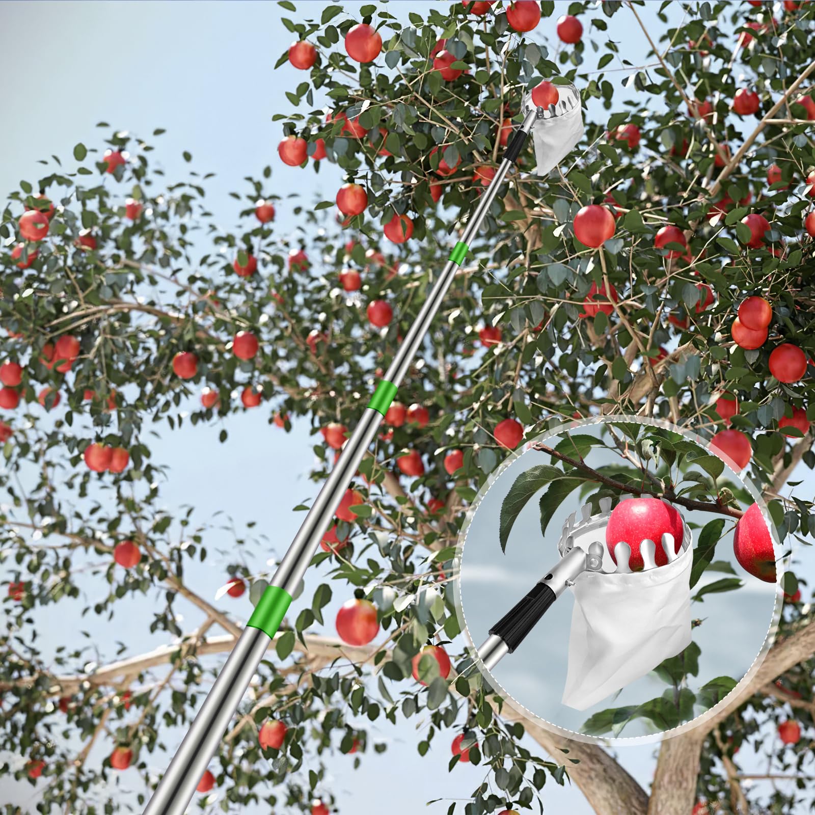 Dreamtop Cueille Fruit Telescopique 4 Metre, Ramasse Pomme Réglable Inoxydable Cueille Pommes, Outil Cueillette Jardin Arbre Poires Pêches