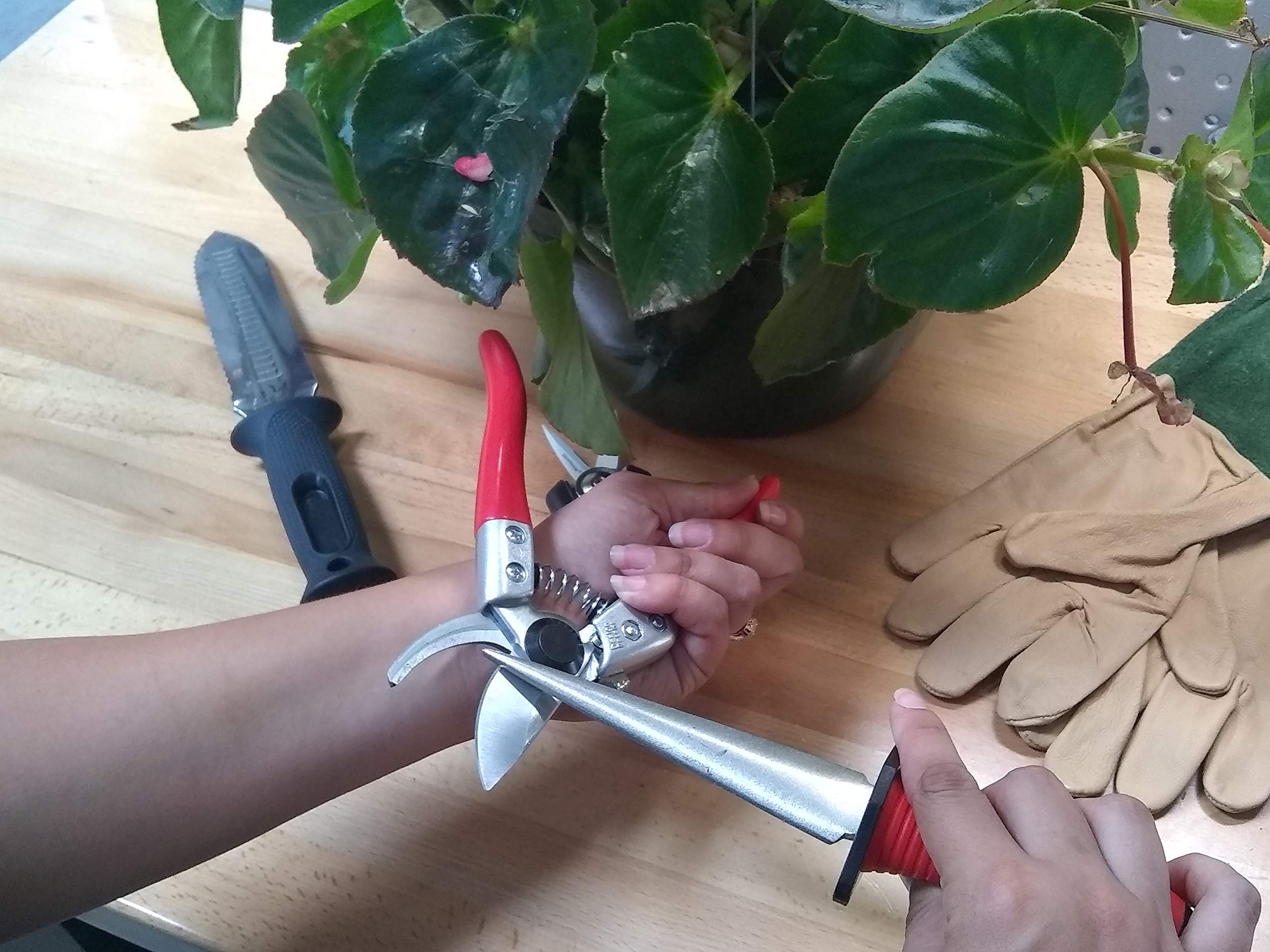 Ironwood Tool Company Liberación rápida, bloqueo que nunca falla, pequeño cortador de podadora de derivación de 8 pulgadas IW1412 con ranura de savia