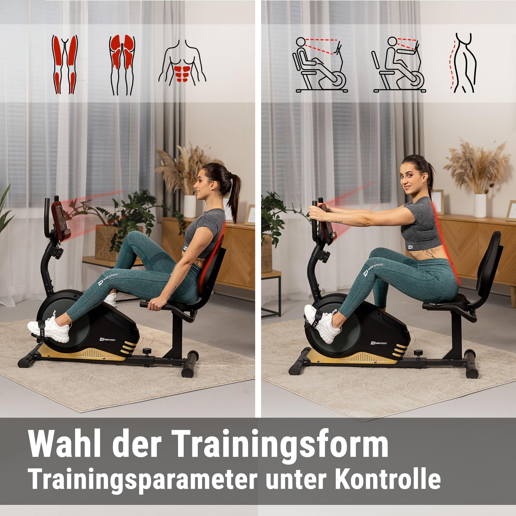Hop-Sport Root Liegeergometer - Liegeheimtrainer mit Handpulssensoren, 9,5 kg Schwungmasse, 8 Widerstandsstufen - Sitzergometer max. Benutzergewicht 120 kg