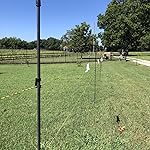 Review Image by timbrubaker timbrubaker