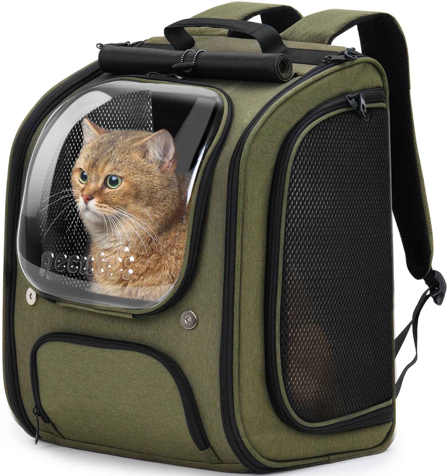 Pecute Zaino Trasportino per Gatti a Bolla - Ampio spazio stabile, parasole traspirante, ideale per viaggiare, fare escursioni, fare visitare cliniche veterinarie con il tuo animale domestico, Verde