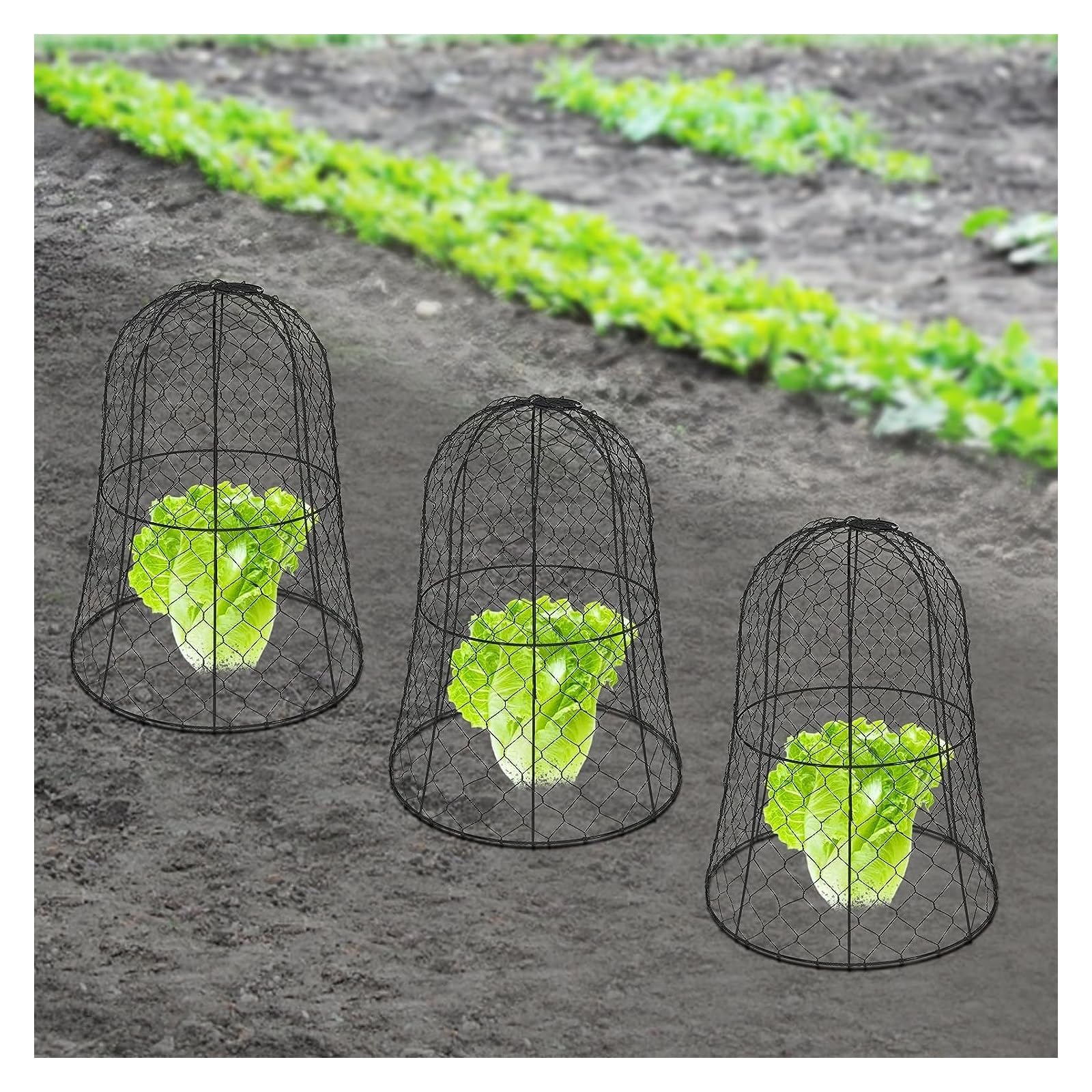 Lot de 6 cloches de jardin pour plantes, protection des plantes en fil de poulet, 32,99 cm de diamètre x 40 cm de hauteur, pour la protection du jardin