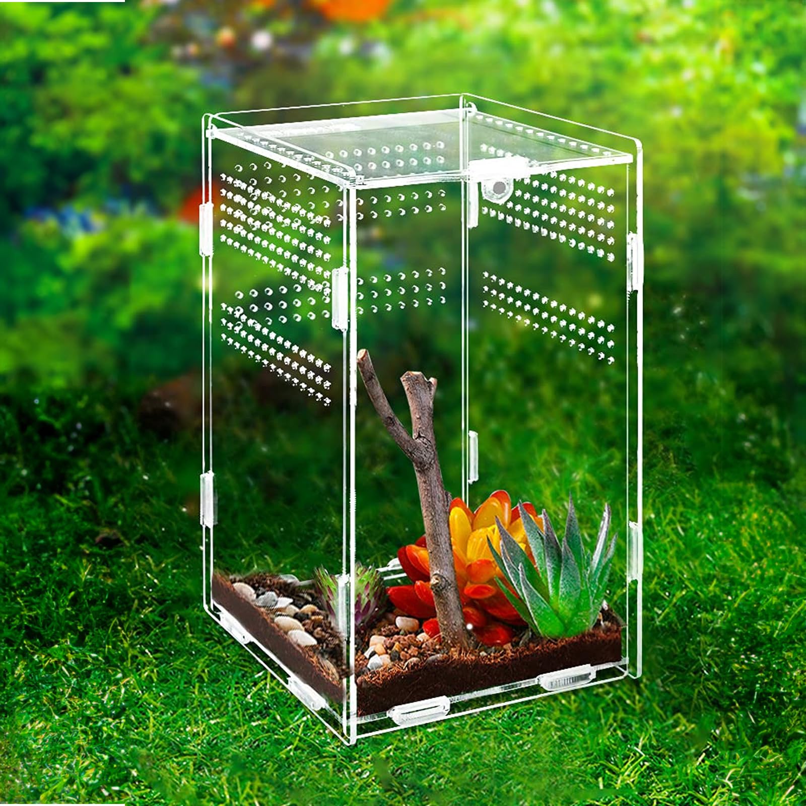 Terrarium à escargots en acrylique à 360° : Nizirioo 12 x 12 x 20 cm - Mini terrarium en acrylique transparent - Mini terrarium pour Spide, Scorpion, Mère religieuse, reptile