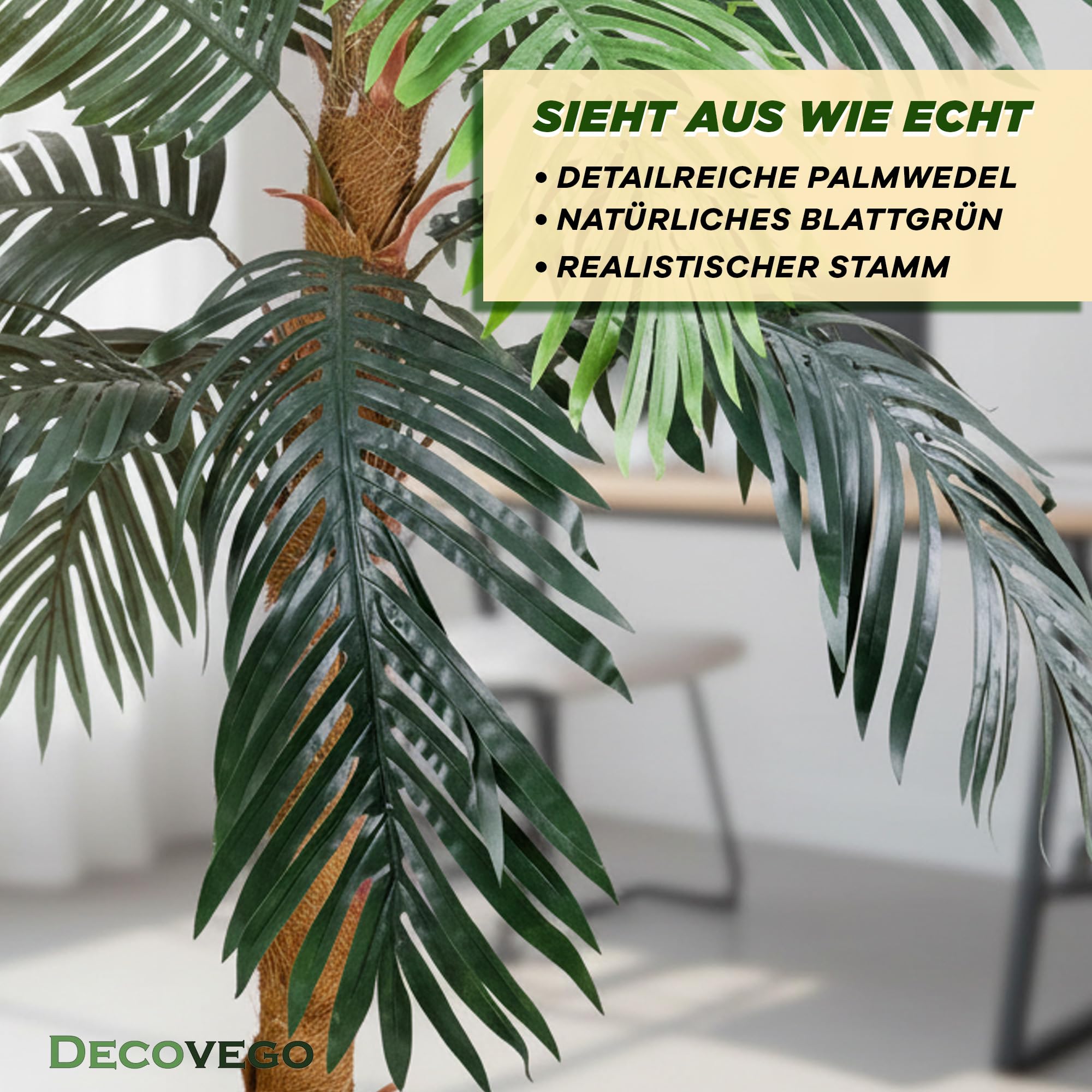 Samen Palmen 18 Echte Kokosnuss-Palmen  Prparierte Kunstpalmen Aus Echten  Nssen, Deko Fr Tropen-Look