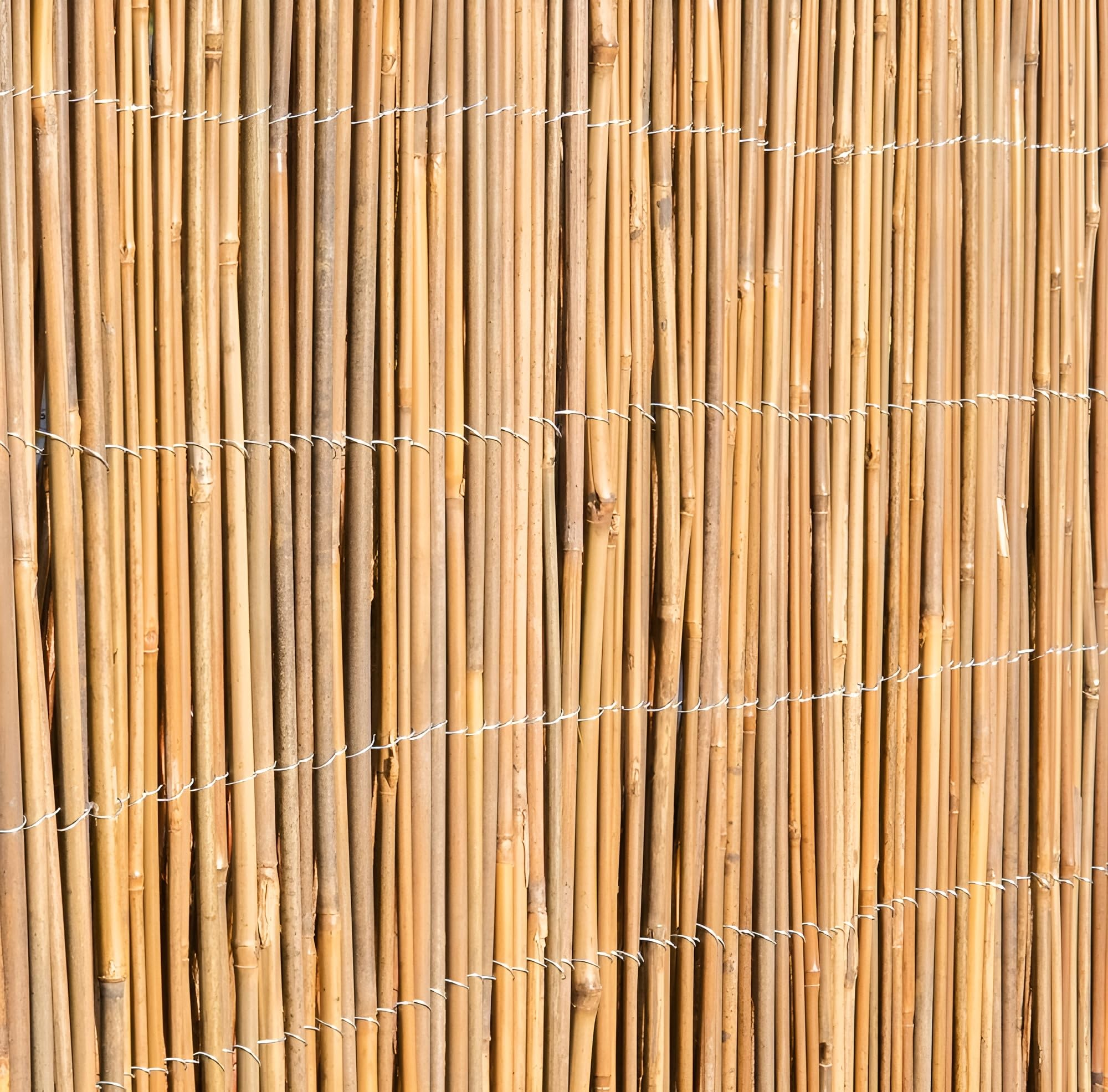 Papillon Brown Primrose Bamboo Cane Natural Garden Fencing Screening Roll Privacy Screen 4M X 2M (13Ft 1In X 6Ft 7In)