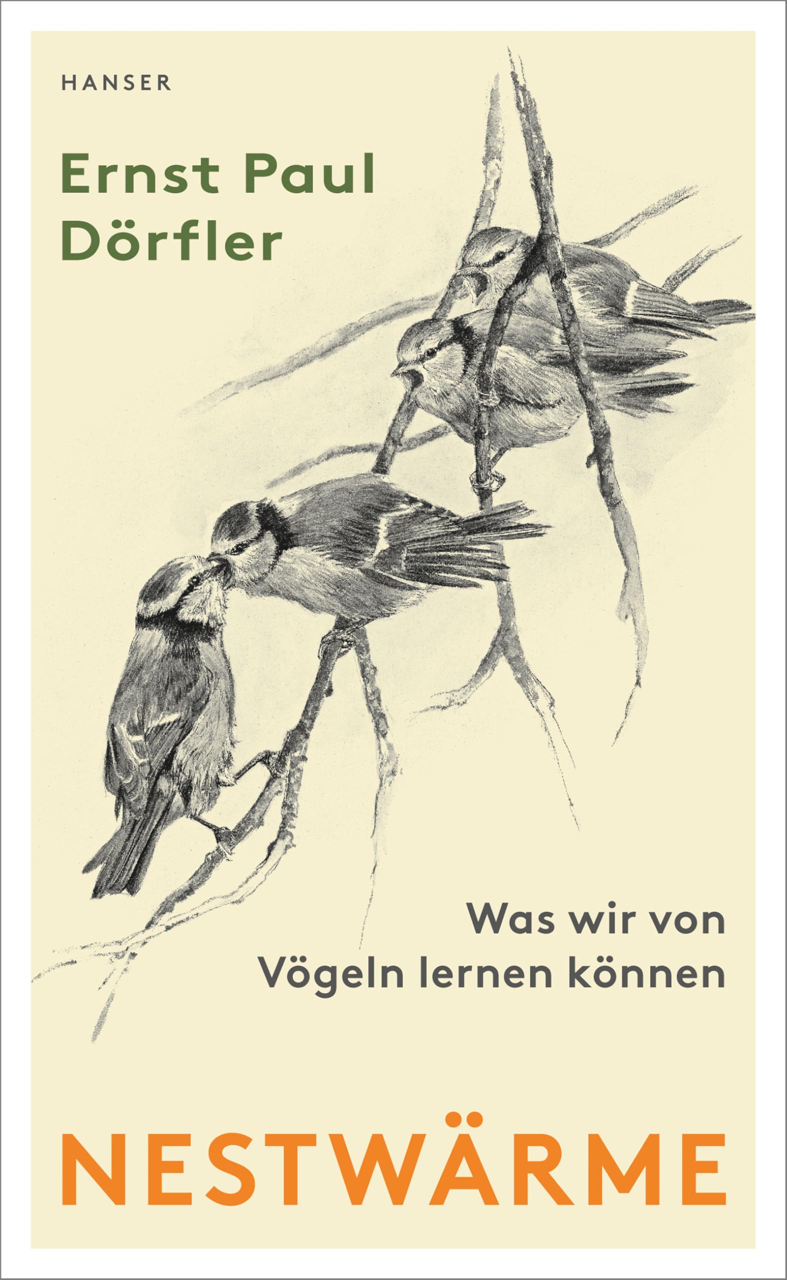 Nestwärme: Was wir von Vögeln lernen können
