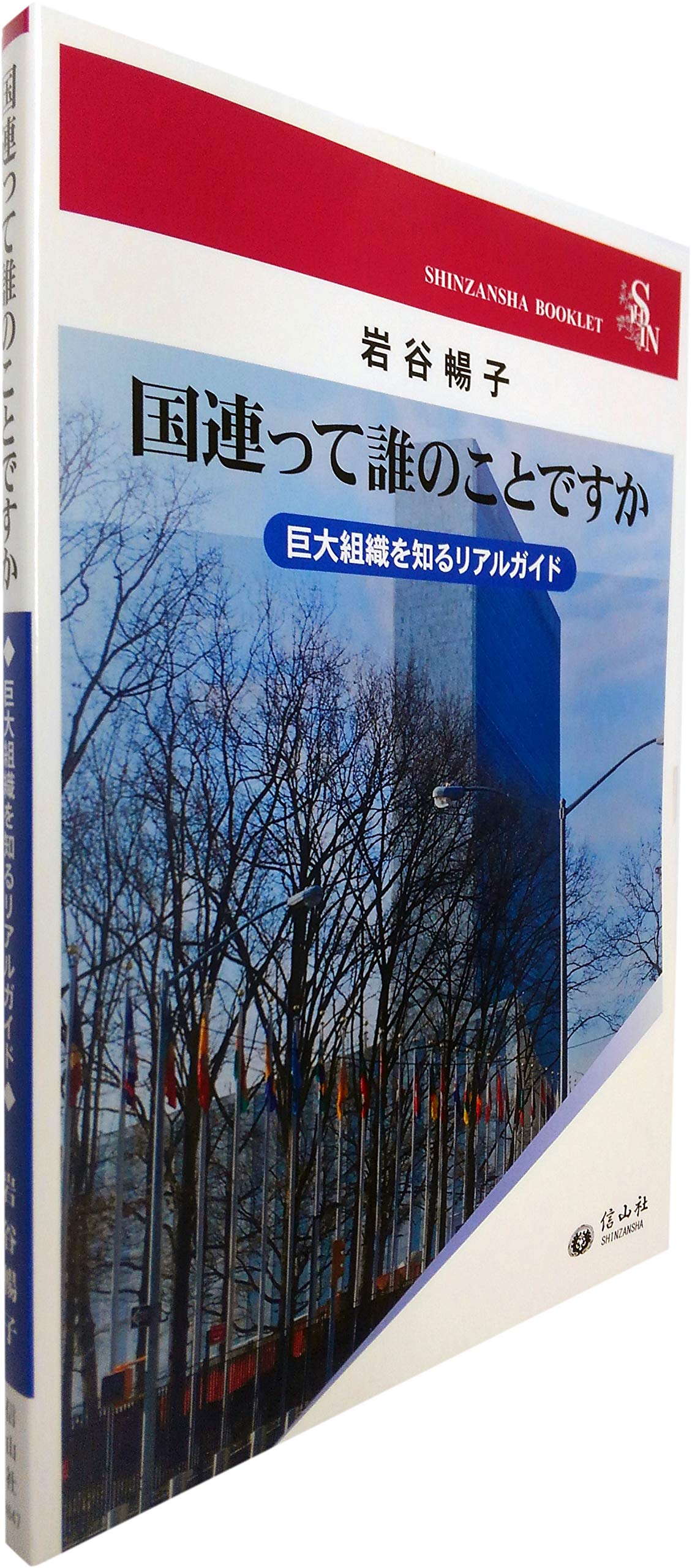 国連って誰のことですか―巨大組織を知るリアルガイド (信山社