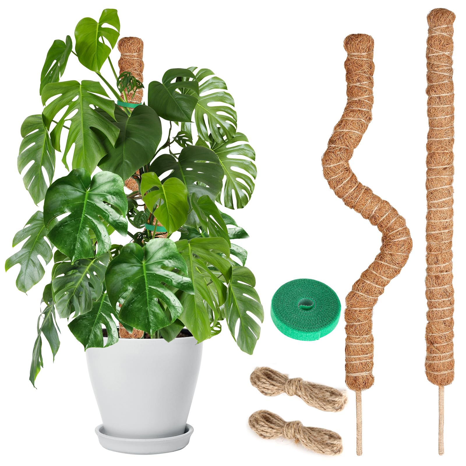 Amazon.com : Joaercs Moss Pole Monstera Plant Support, 2 Ft, 2 Pack  Sustainable Coir Bendable Moss Pole Stakes, Plant Sticks for Climbing  Vines, Pothos, Potted, Comes with Velcro Tape and Hemp Rope :