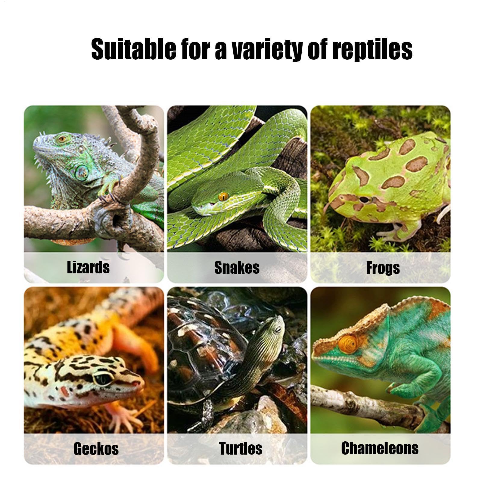 JINGLING Caja de comida para serpientes, alimentador de cucarachas, transportador portátil de viaje de serpientes, reptiles, hábitat, jaula de transporte de tortugas, casas de cría de mascotas