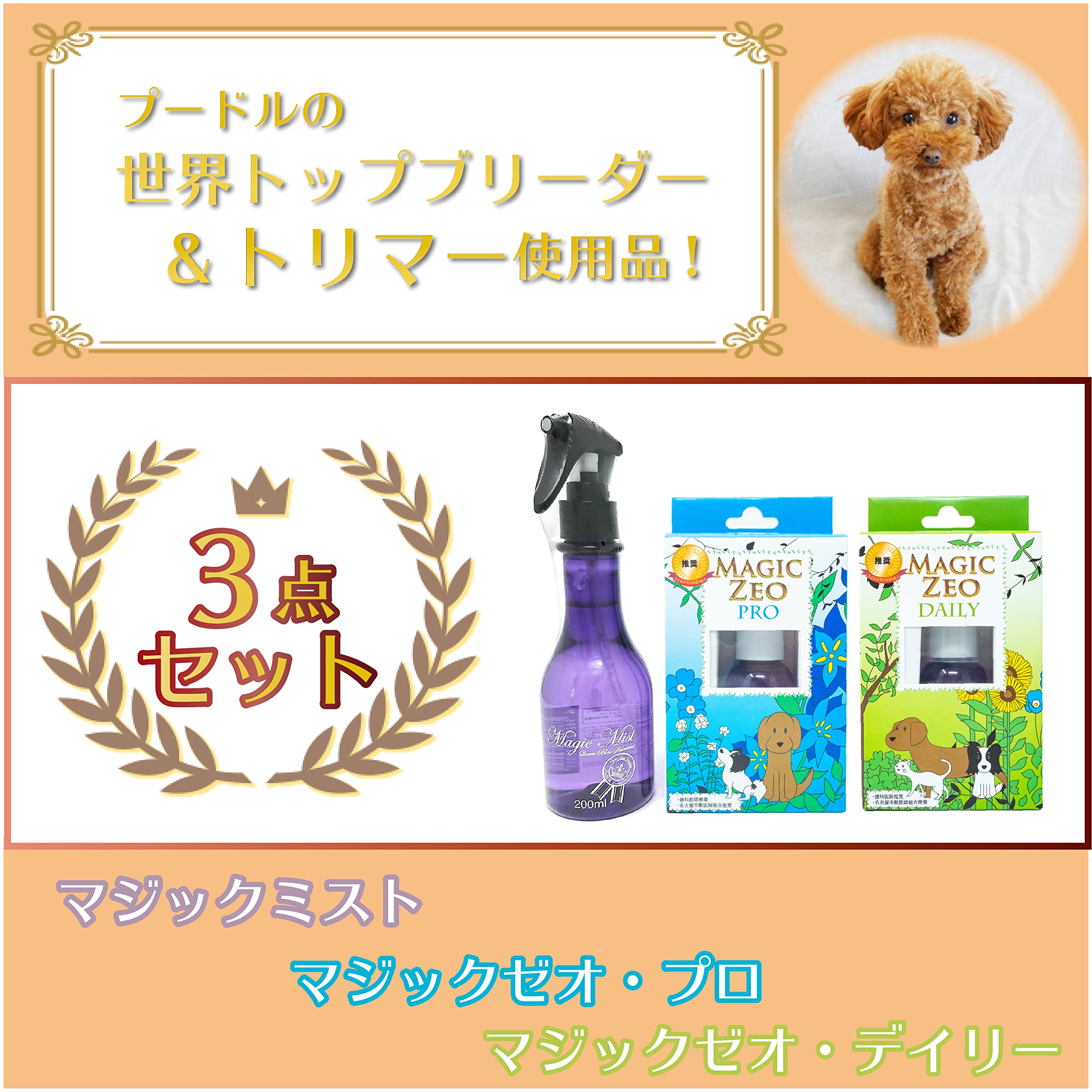 マジックゼオ プロ デイリー デイリープラス マジックミスト200ml 4点