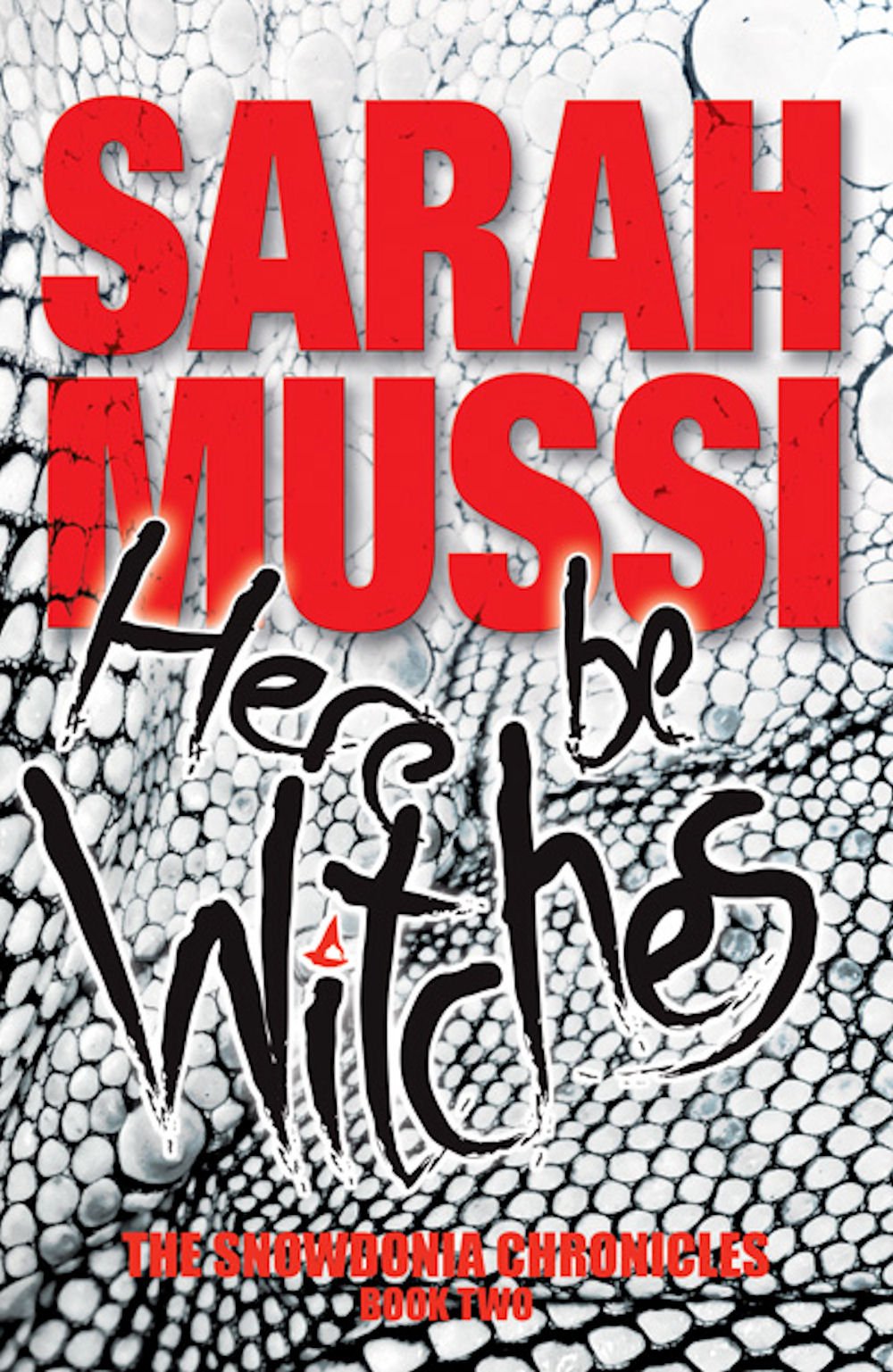 Here be Witches (The Snowdonia Chronicles: Book Two)