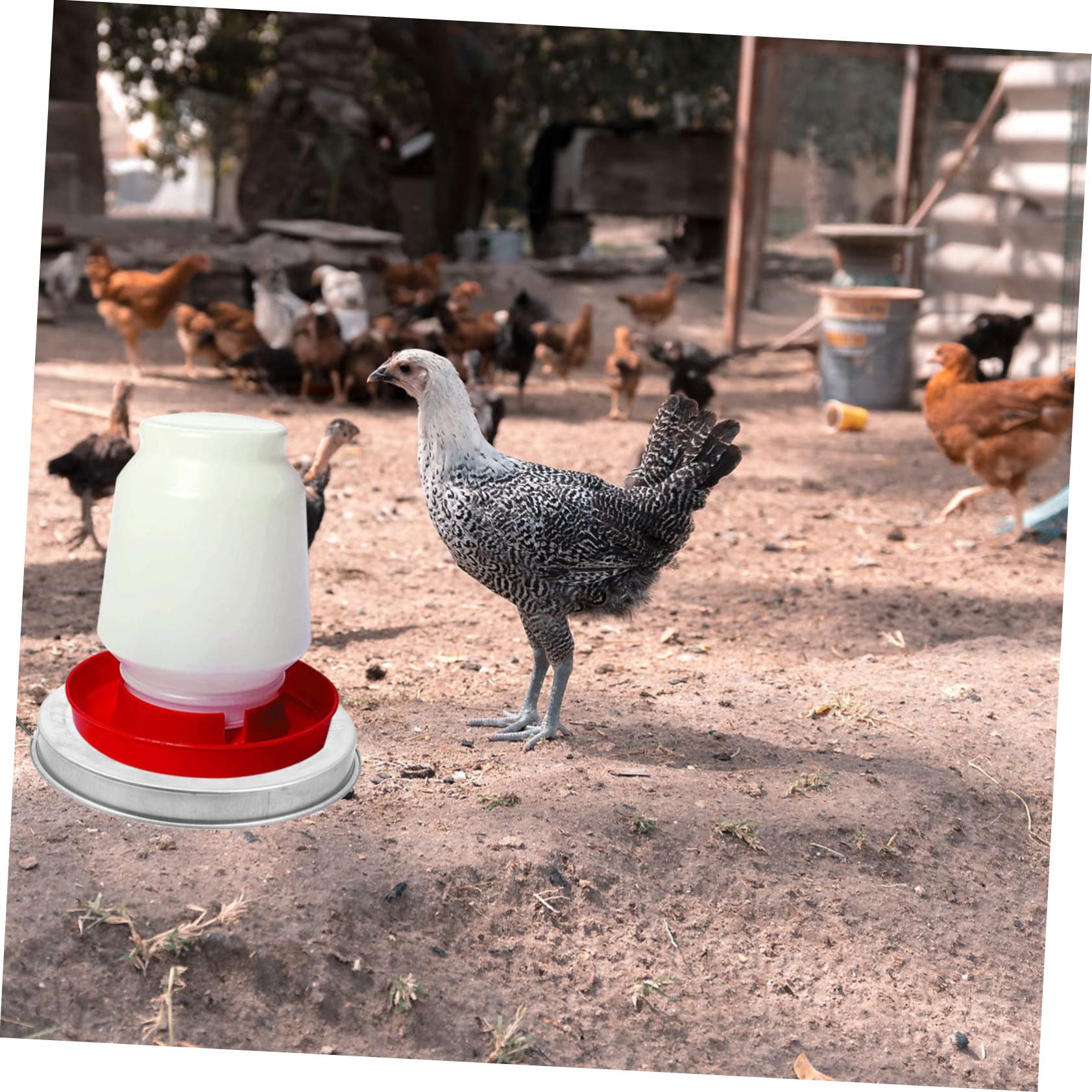 Base Calefactora para Bebederos de Aves de Corral en Invierno | Metal, Control Termostático, Desconexión Automática de Seguridad, para Bebedero de Mascotas y Aves