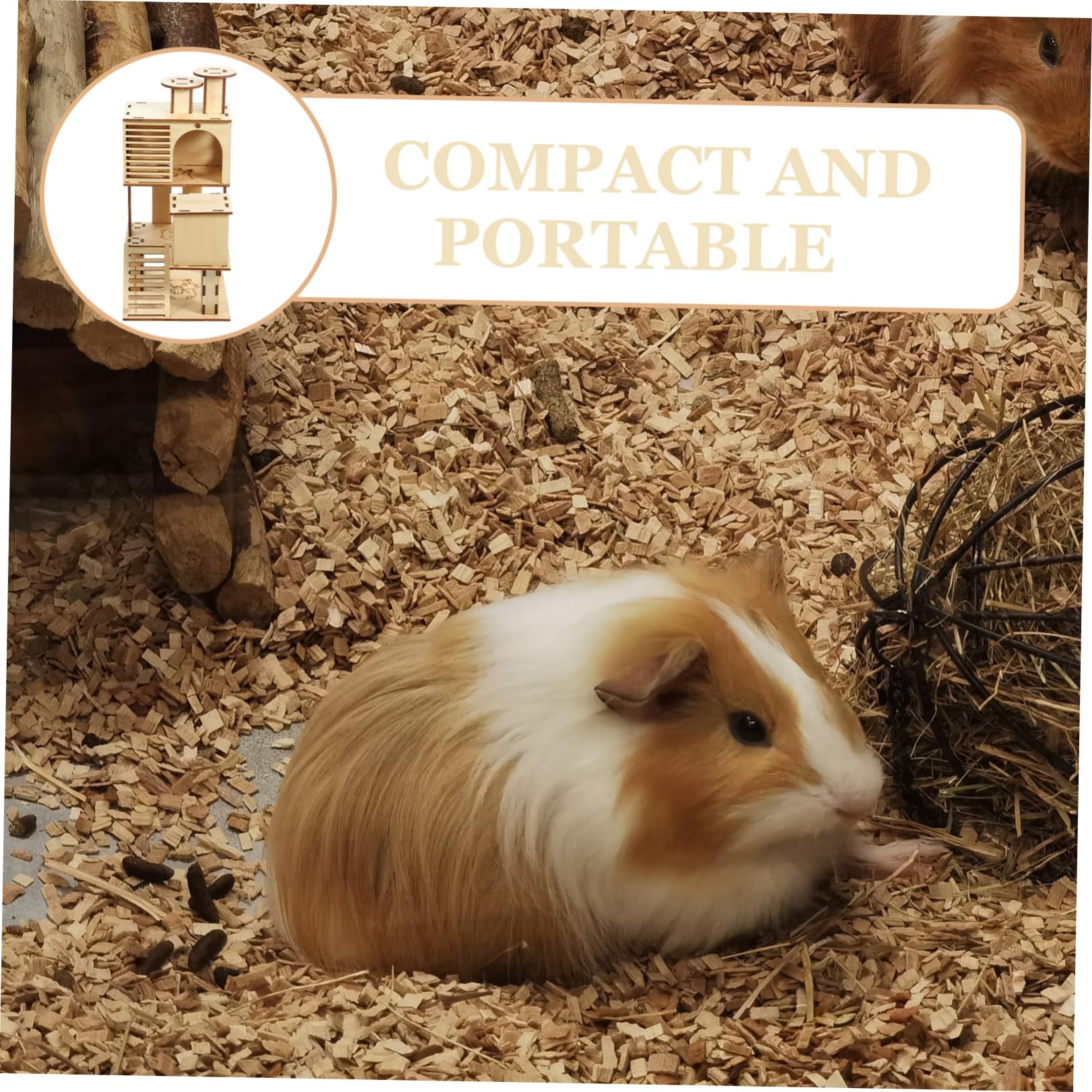 【平成レトロ・激レア・早い者勝ち】ハローキティ ハムスターハウス ハムスター用品 ハローキティ ハムスターハウス ジャンガリアン 廃盤 Sanrio - メルカリ