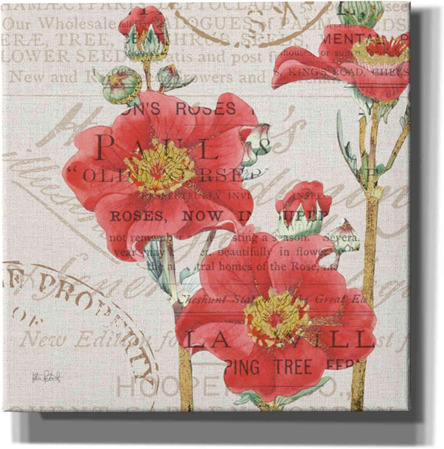 Epic Graffiti 'Bookshelf Botanical V' by Katie Pertiet, Canvas Wall Art, 12"x12"