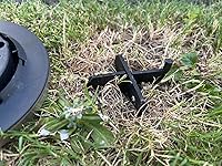 Review Image by Gabriela Rodriguez Gabriela Rodriguez