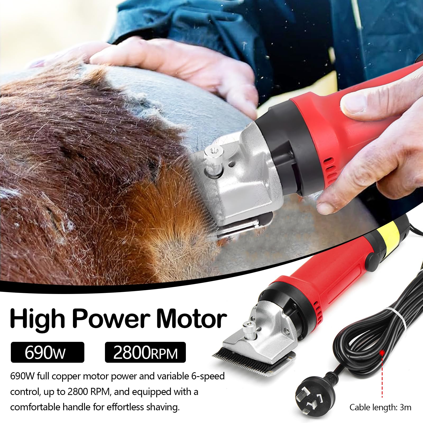 Tondeuse Chevaux Professionnelle 220V 690W Lame 77mm Moteur 2800 tr/min