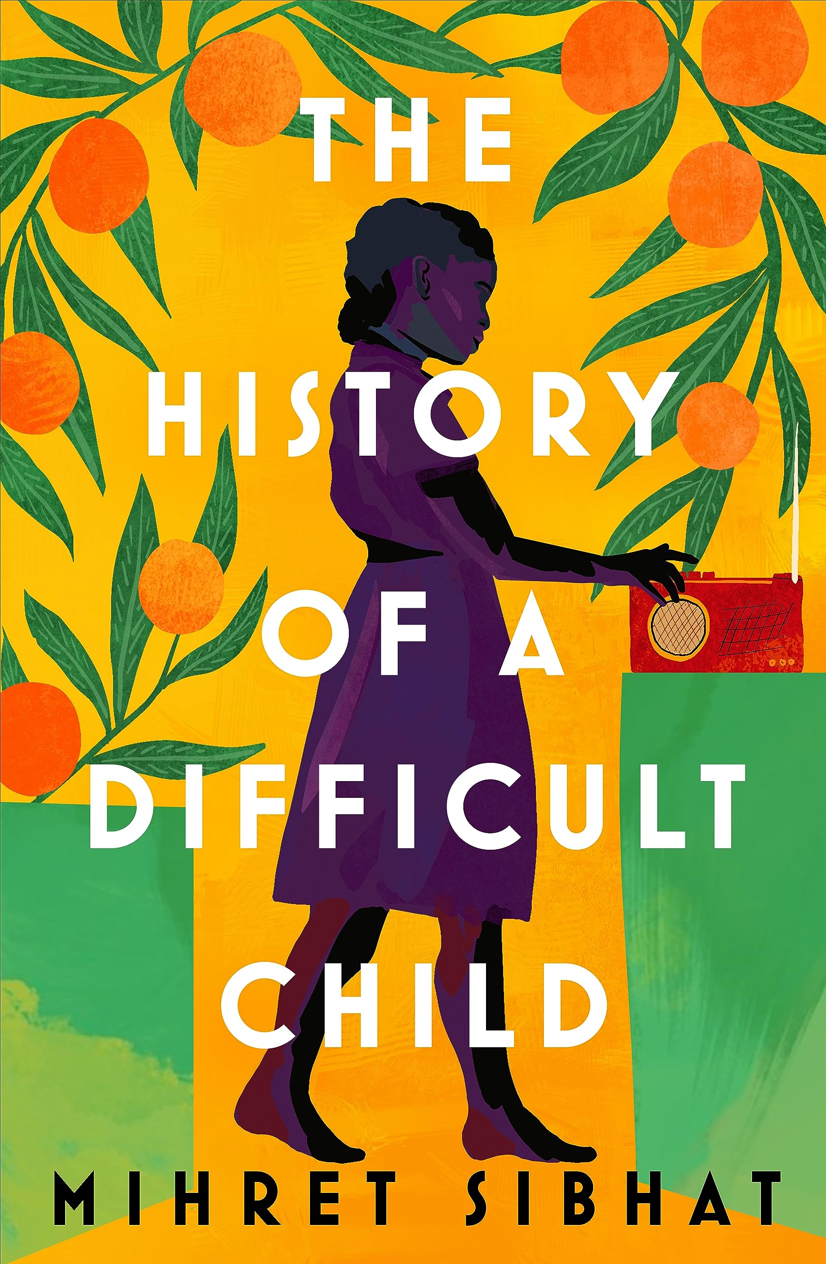 History Of A Difficult Child