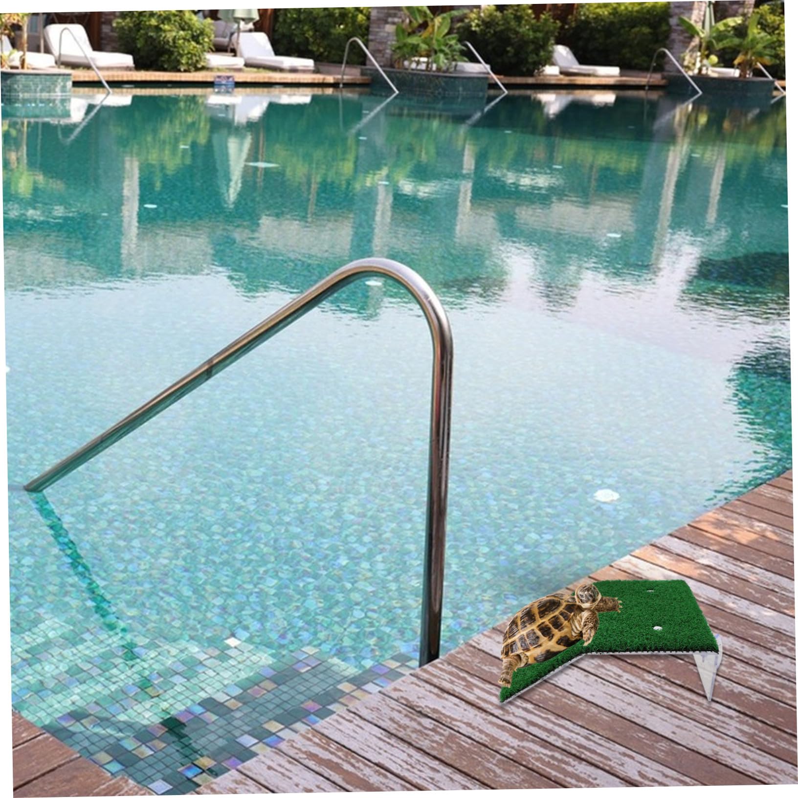HEMOTON 3stücke Pooltierrettungsfluchtrampe Ausstiegsrampe Für Kleintiere Aus Pools Teichleiter Für Wildtiere Poolausstieg Für Tiere Sicherheitsrampe Für Hunde Rettungsrampe Für Tiere Klet