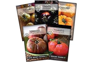Heirloom Tomato Seed Collection: Colorful, Non-GMO Heirloom Varieties