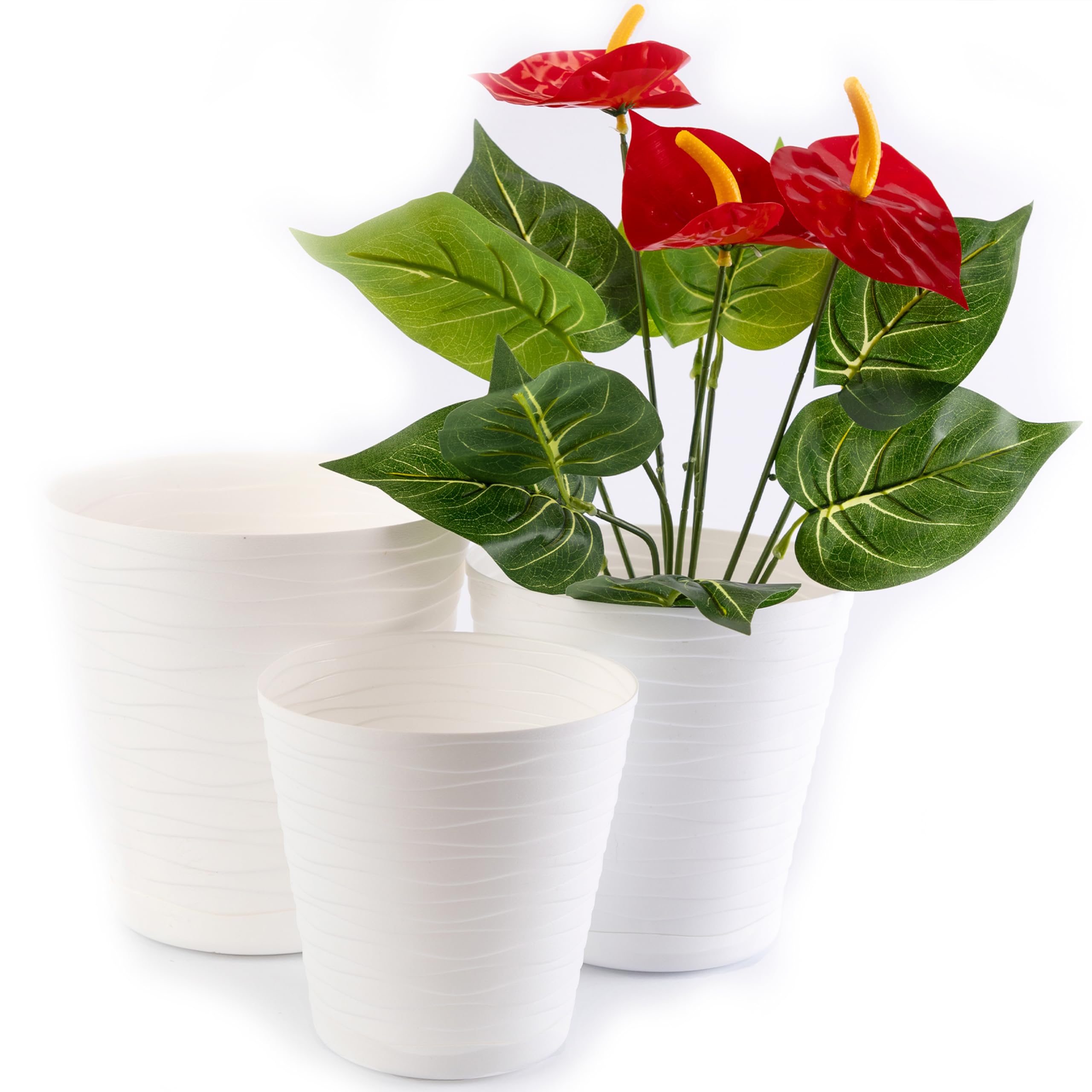 sommer blumenkasten Balkonkasten Set Sommer Grser  Green Me Up