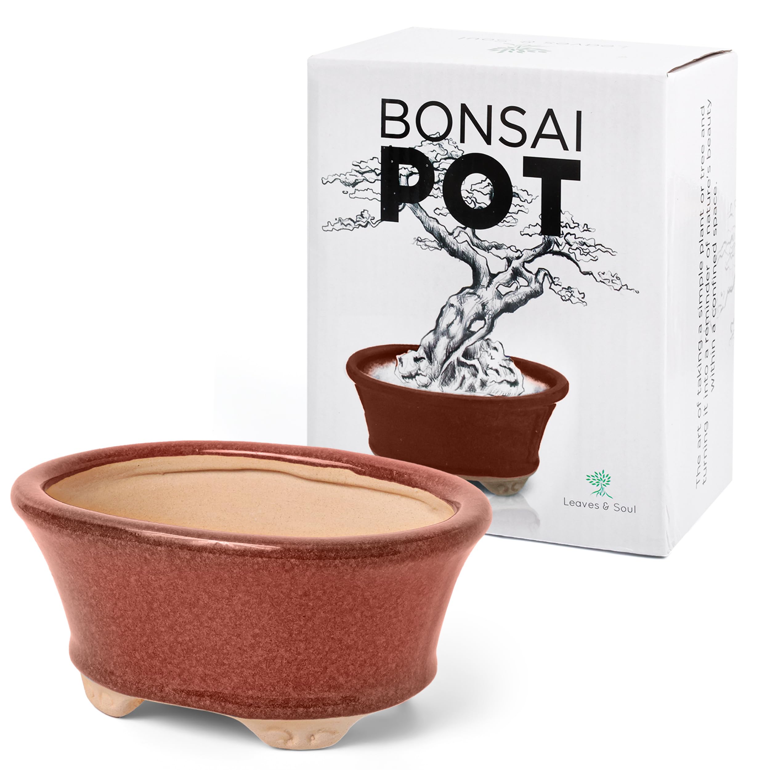 Amazon.com : Glazed Ceramic Bonsai Pot - Decorative Planter for