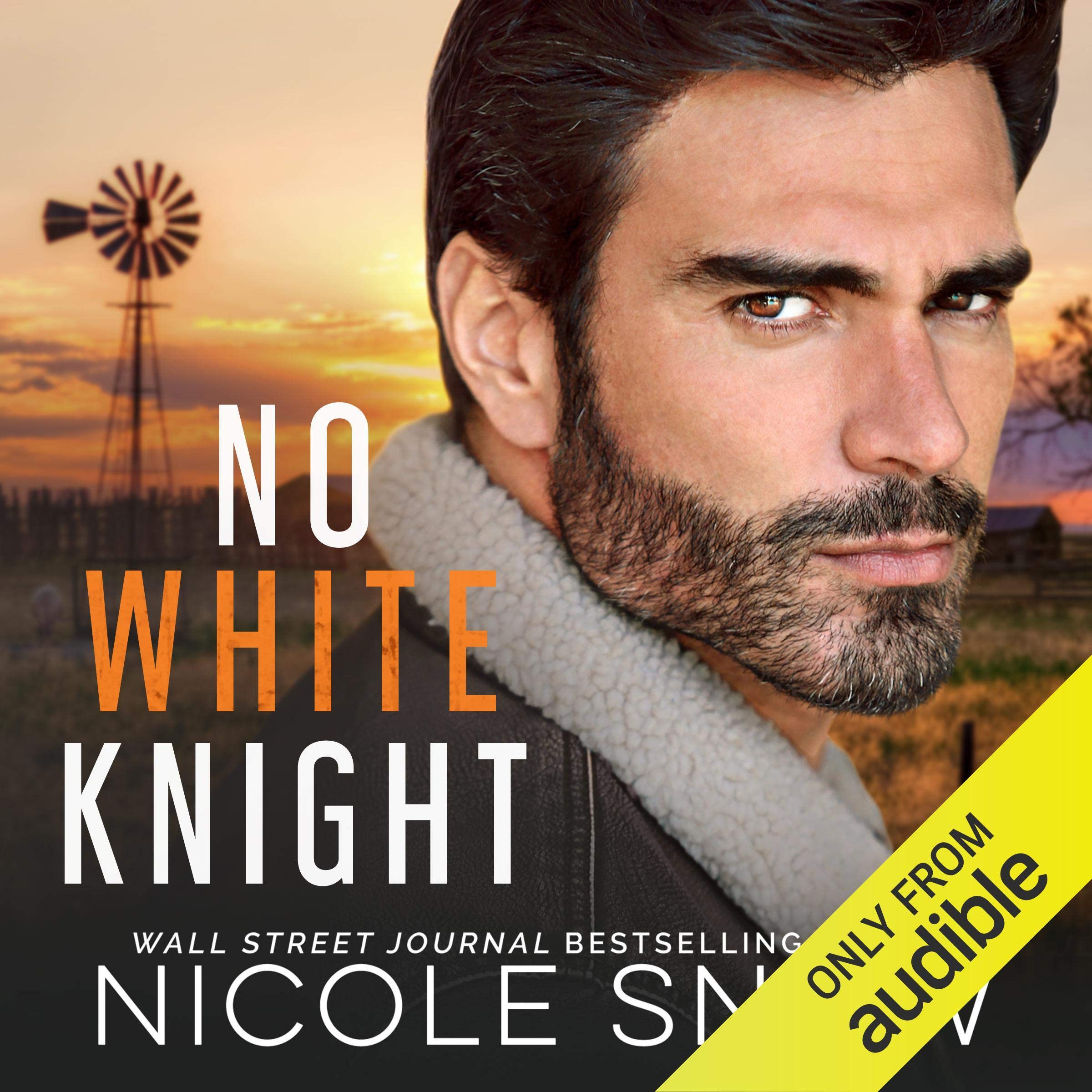 Cover art for No White Knight