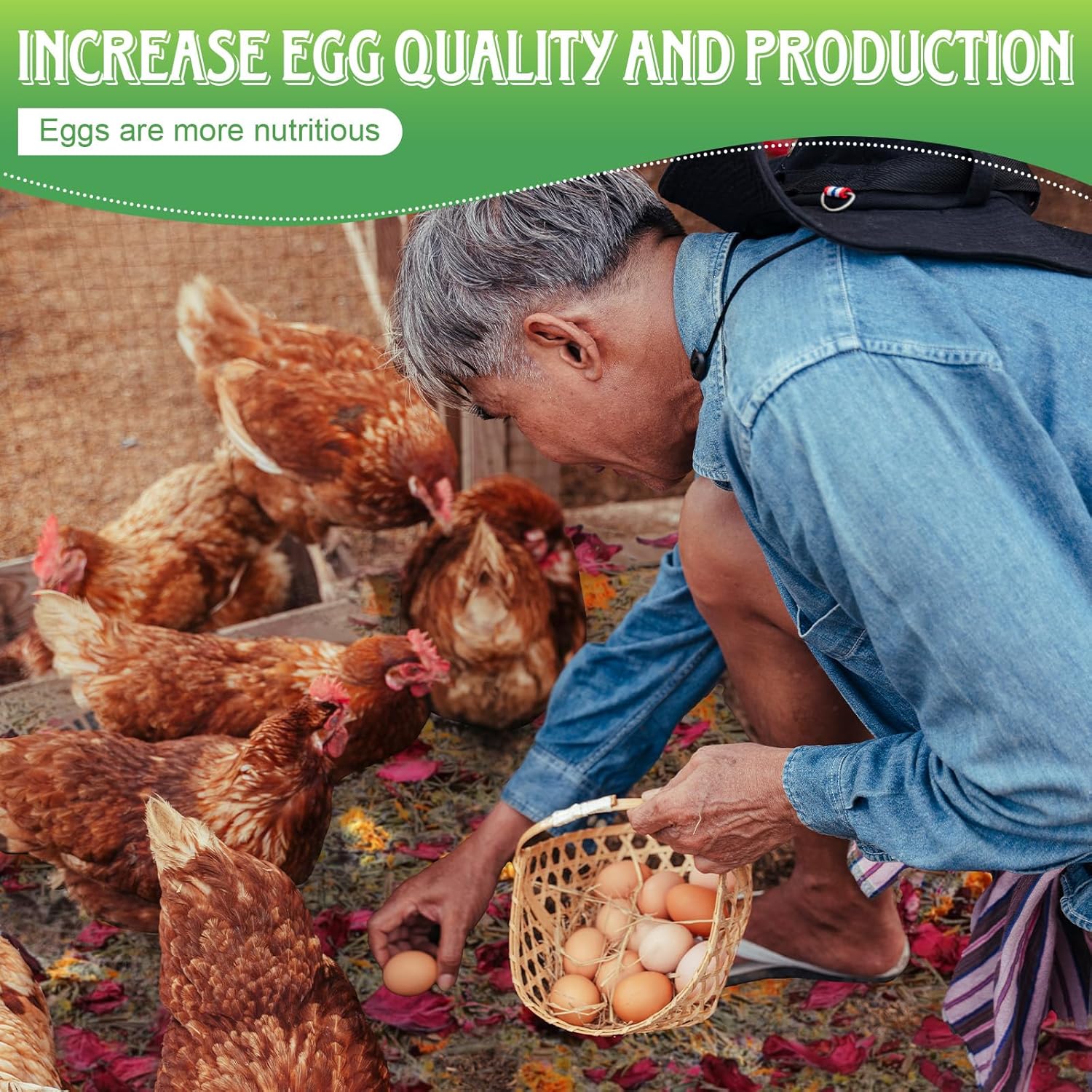 42Oz Chicken Nesting Herbs for Pads, 2.6LB Nesting Herbs for Chicken Coop/Hemp Bedding/Box/Dust Bath, Coop Refresher in Vacuum Packaging, Increase Egg Production and Reduce Stress