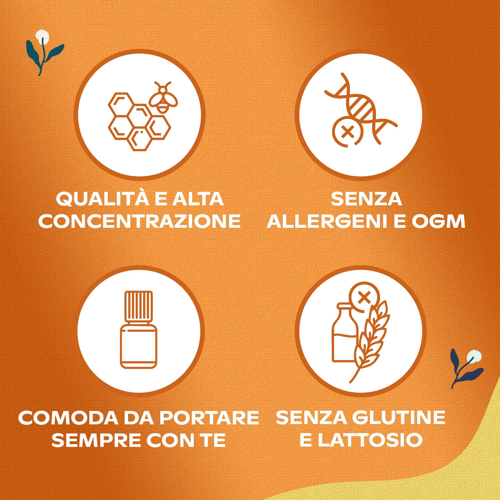 Pappa Reale Alma Farmacie, Integratore Ricostituente per ridurre Stanchezza, sopporto al Sistema Immunitario; con Vitamine B2, B5, B12, D e Acerola, Senza Glutine e Lattosio, 12 Flaconcini