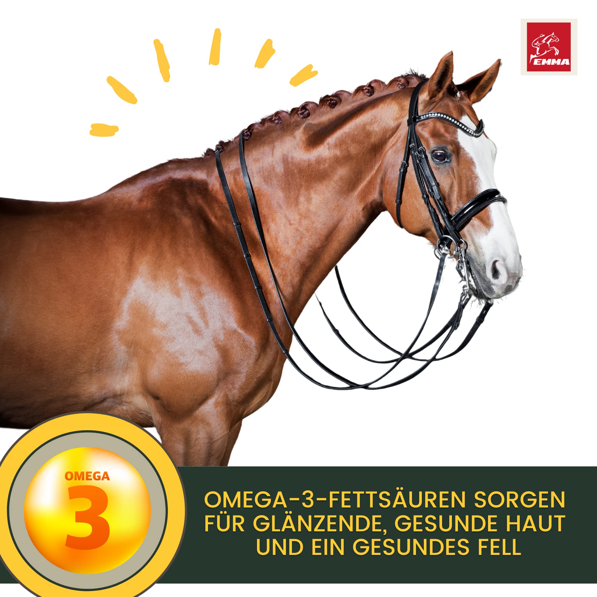 Olio di lino per cavalli e cani mangime per cavalli integratore alimentare I omega 3-6 acidi grassi in olio I spremuto a freddo I vitamine A, D & E I per pelo lucido ed energia I 100% naturale 2,5L