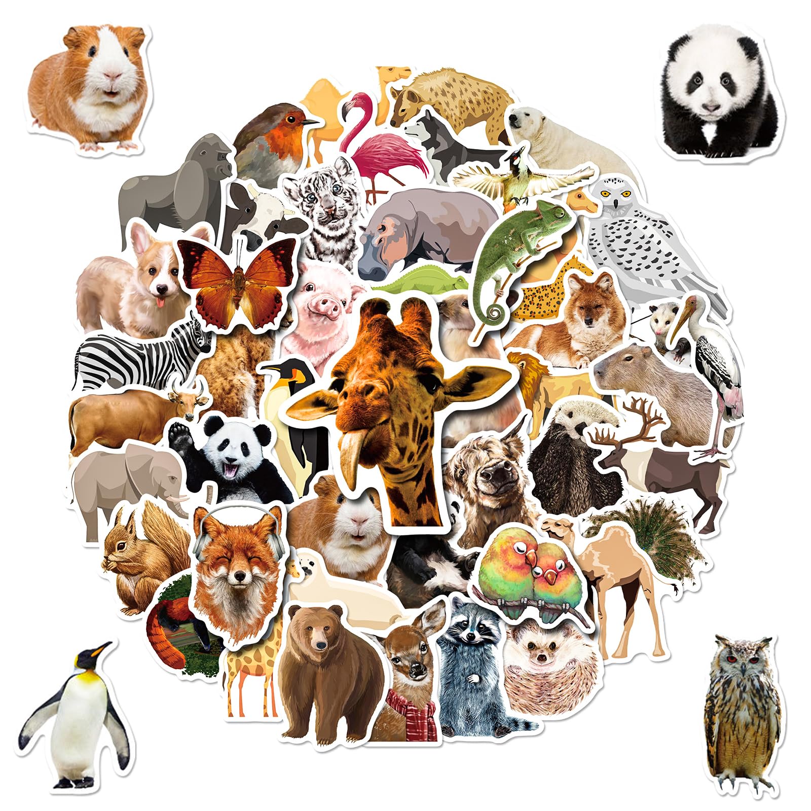 Cute Animal Water Bottle Stickers, 200 Pcs Stickers for Kids, Teens, Boys, Girls, Waterproof Vinyl Kawaii for Laptop, Classroom, Phone Case, Luggage,