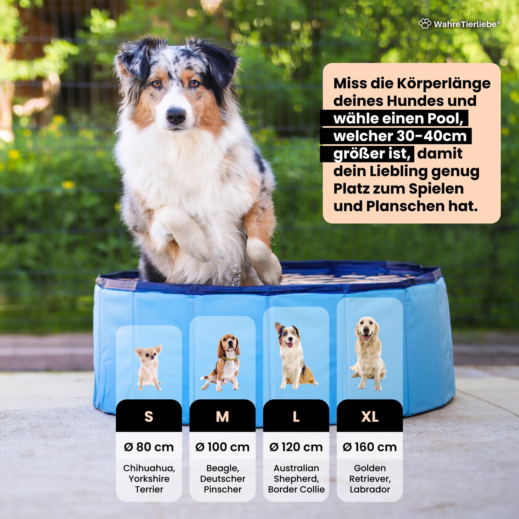 Wahre Tierliebe® Hundepool I Faltbar, ohne Pumpen I Planschbecken besonders Robust & rutschfest I Pool für Kinder, Hunde und Katzen I Hunde Pool