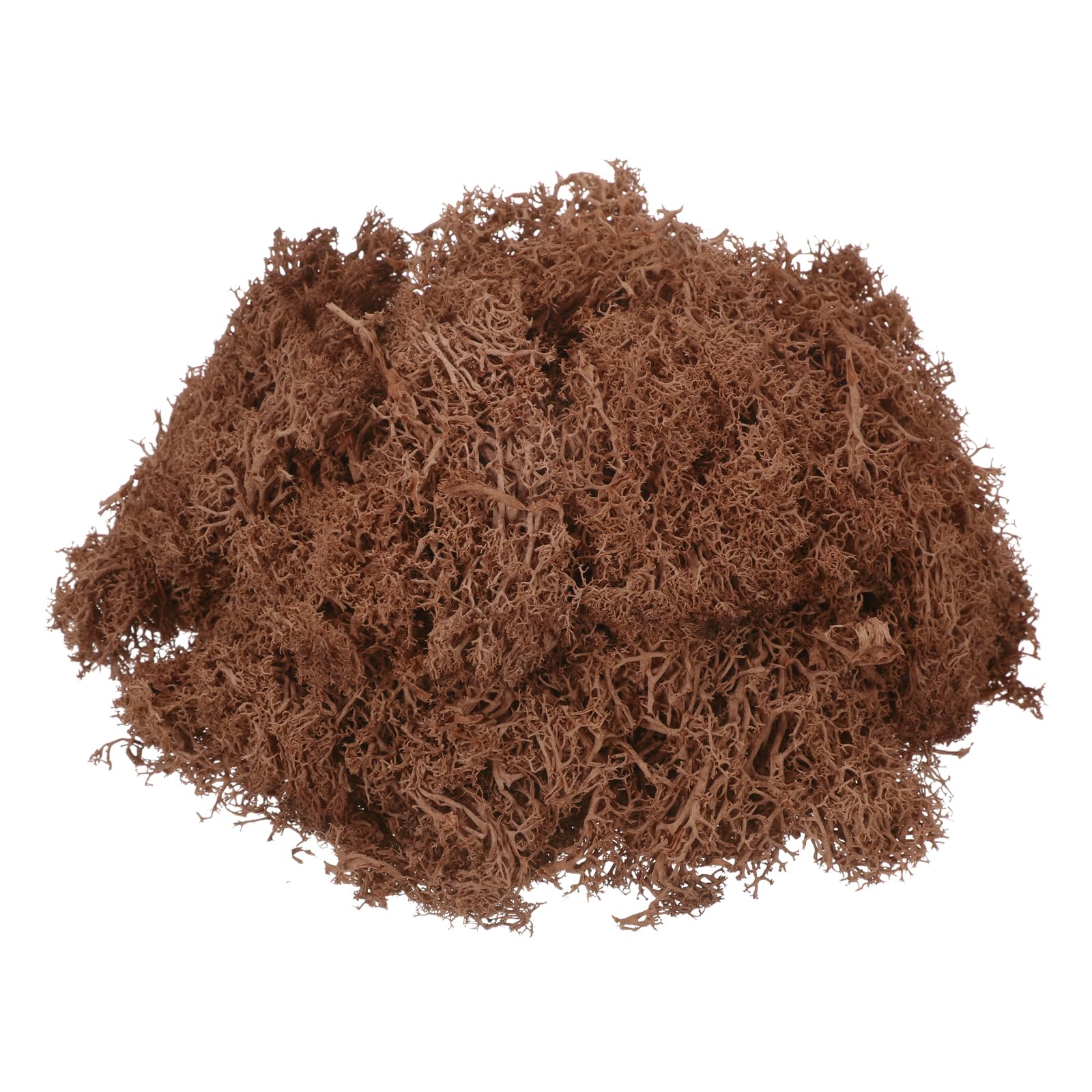 Photo 1 of MECCANIXITY Preserved Reindeer Moss, 4.6oz, Coffee