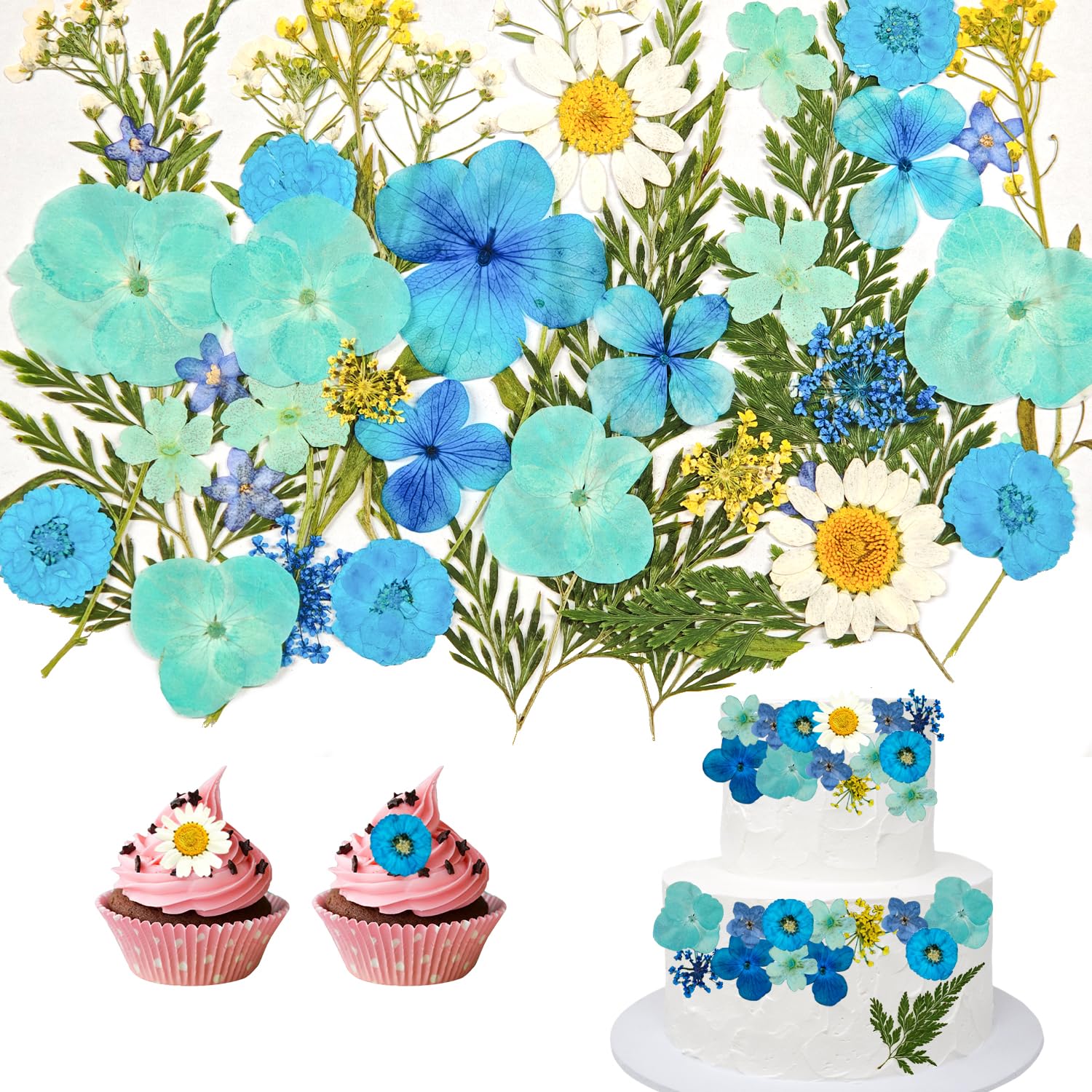 CENCERY 40 Pcs Dried Flowers Cake Decor Flowers Pressed Blossoms Dried Flowers for Crafts for Cakes Cupcakes Desserts (Blue)