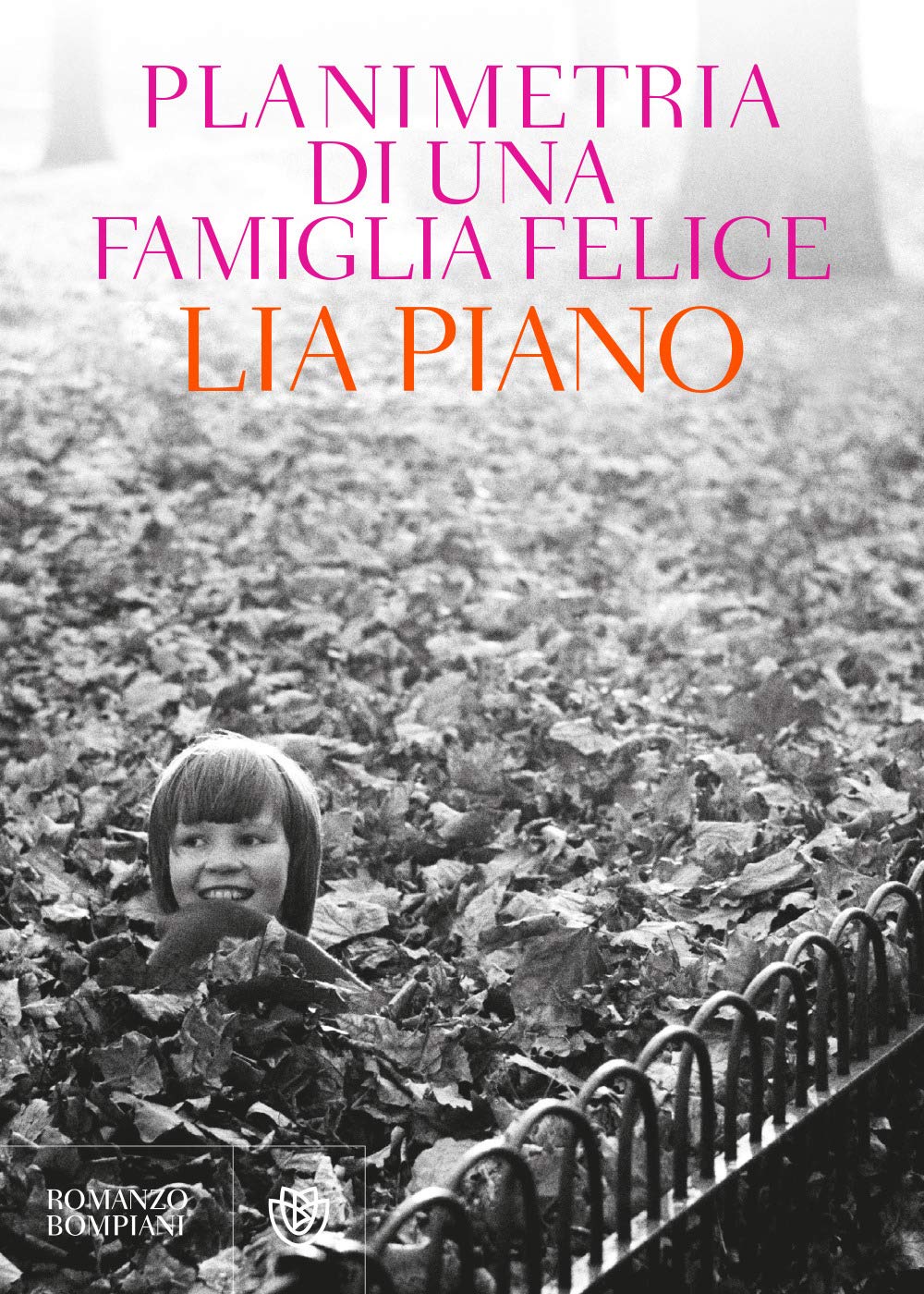 Planimetria di una famiglia felice (Narratori italiani)