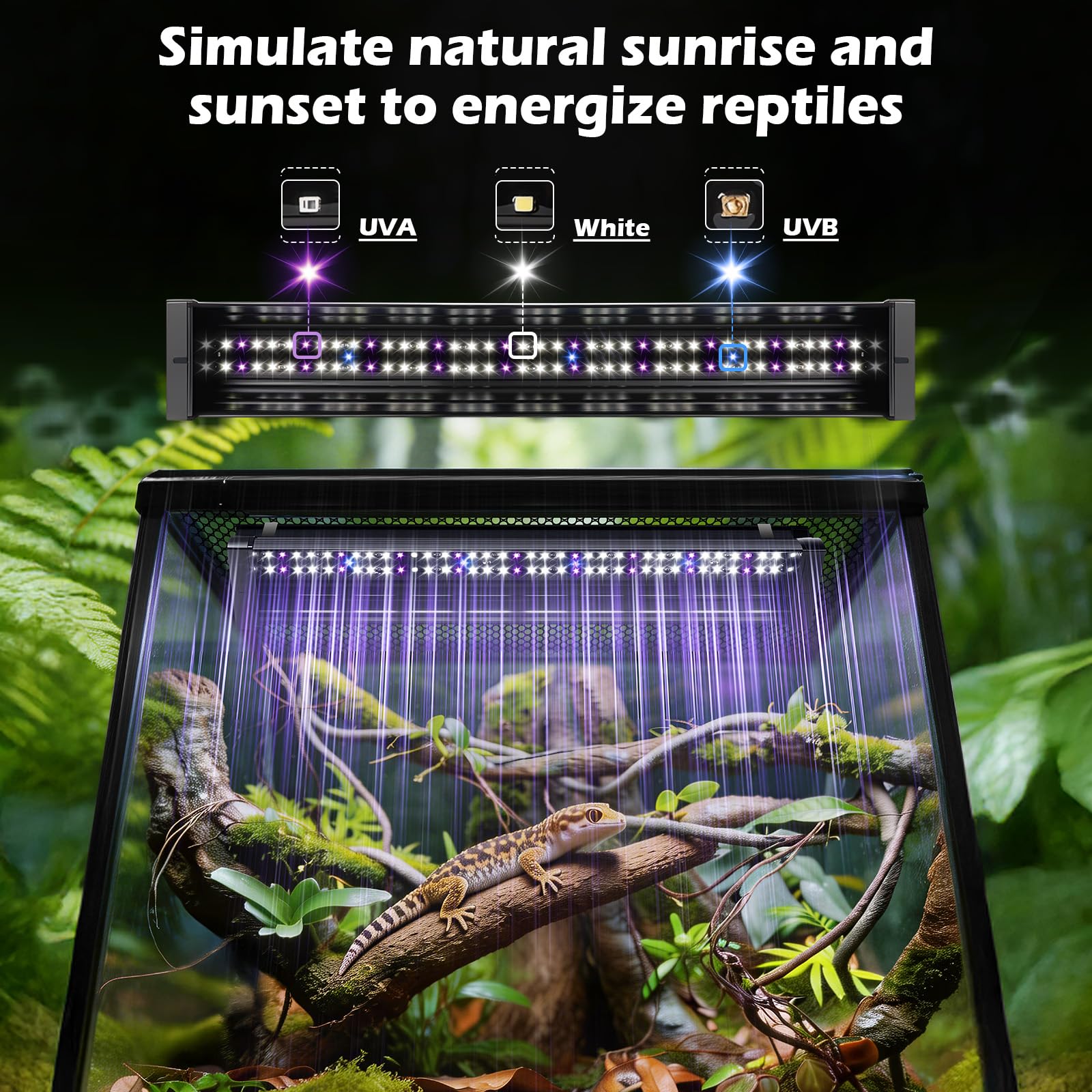Luce UVB LED 6W per rettili