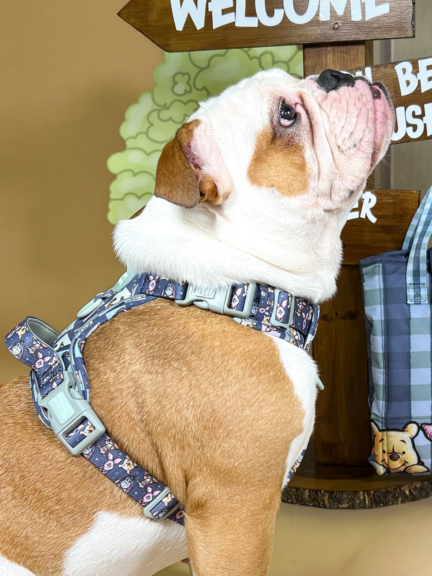 Pawsome Paws Boutique Winnie + Friends Hundegeschirr, robust, klein, verstellbar, Disney-Design, kein Ziehen, mit reflektierendem Rand und Stabiler Schnalle