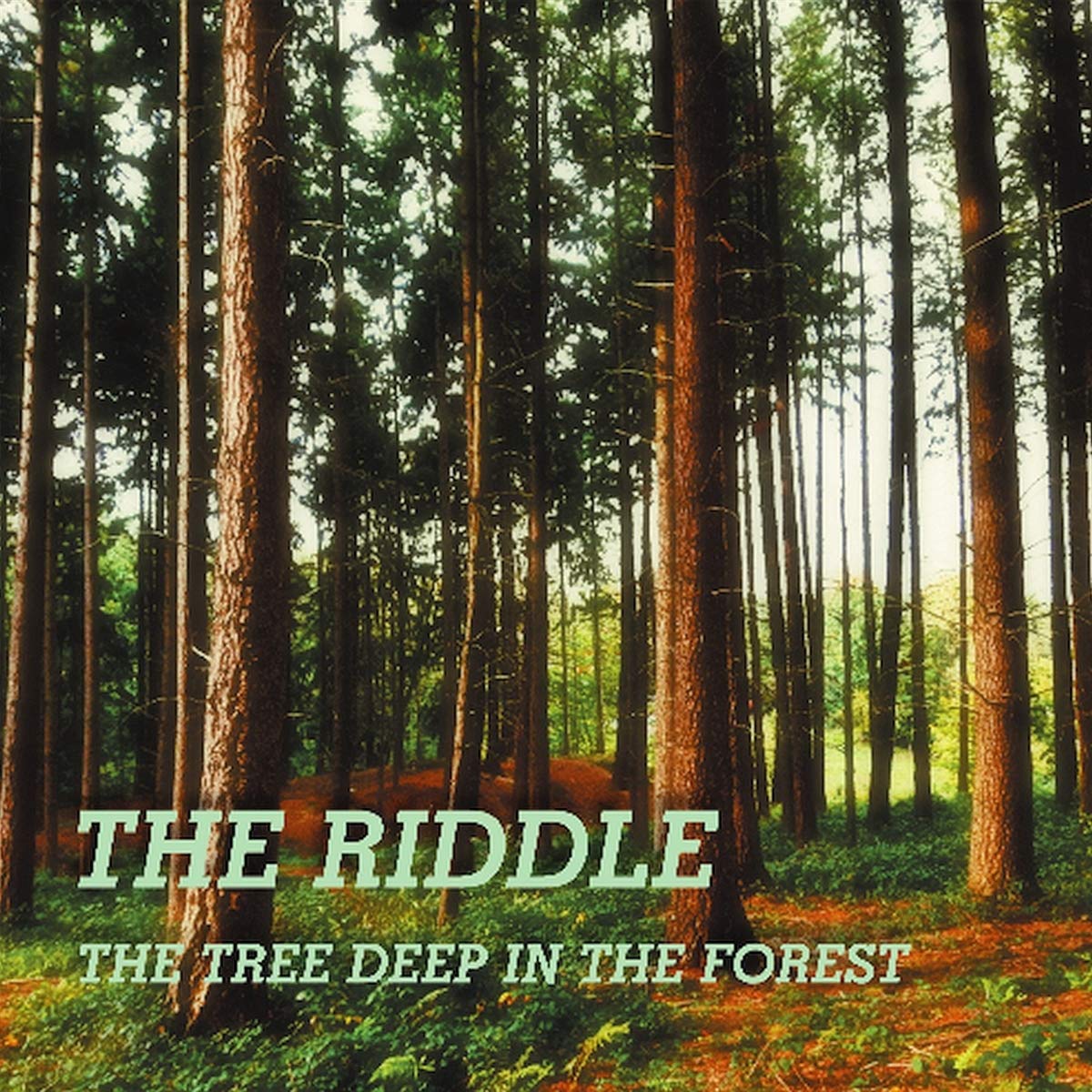 The Tree Deep in the Forest